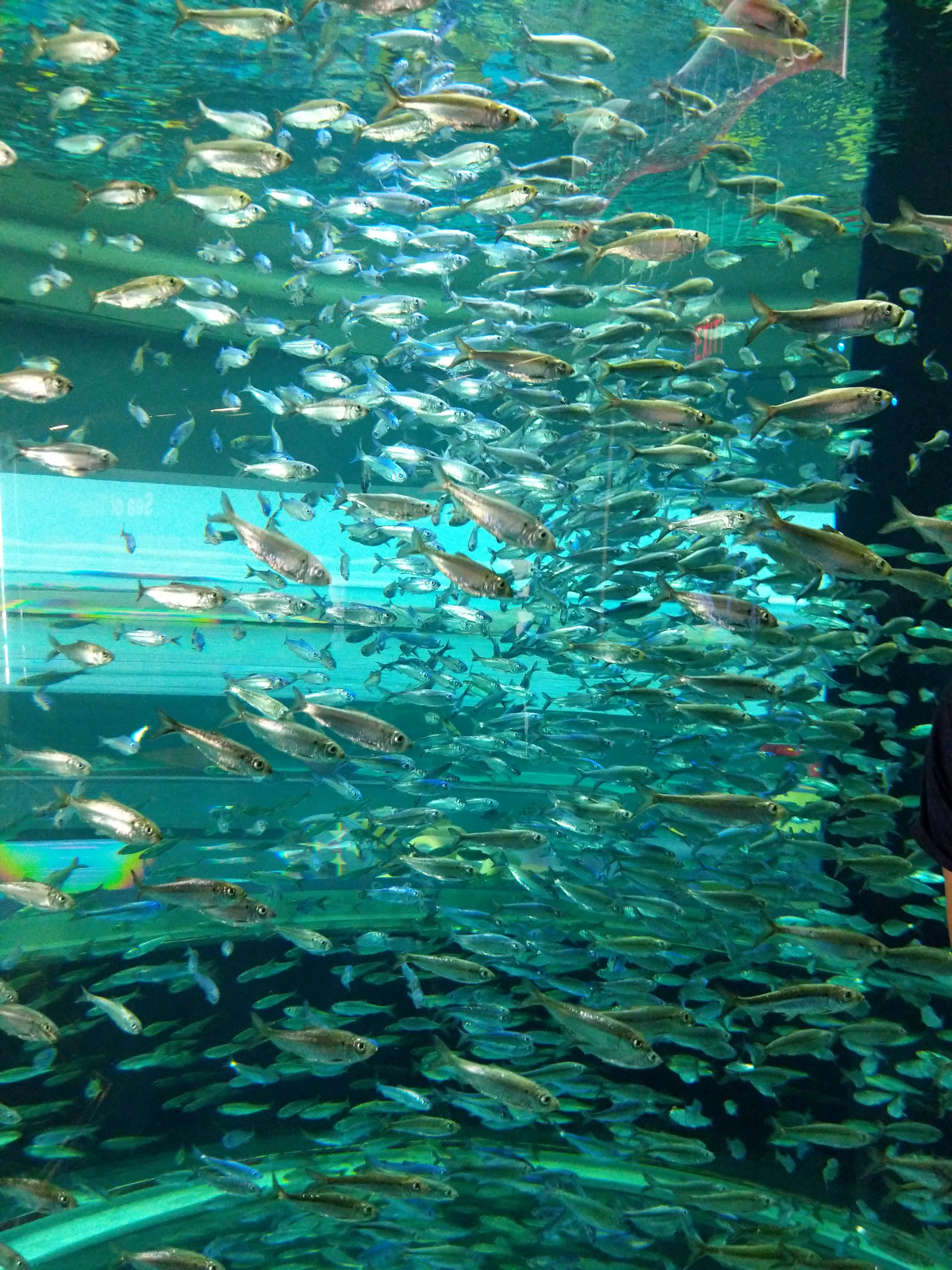 Maker:L,Date:2017-9-22,Ver:5,Lens:Kan03,Act:Kan02,E-Y