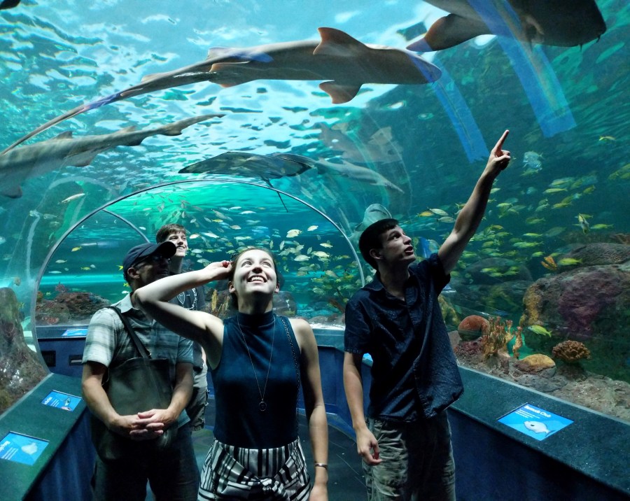 Ripley's Aquarium Canada