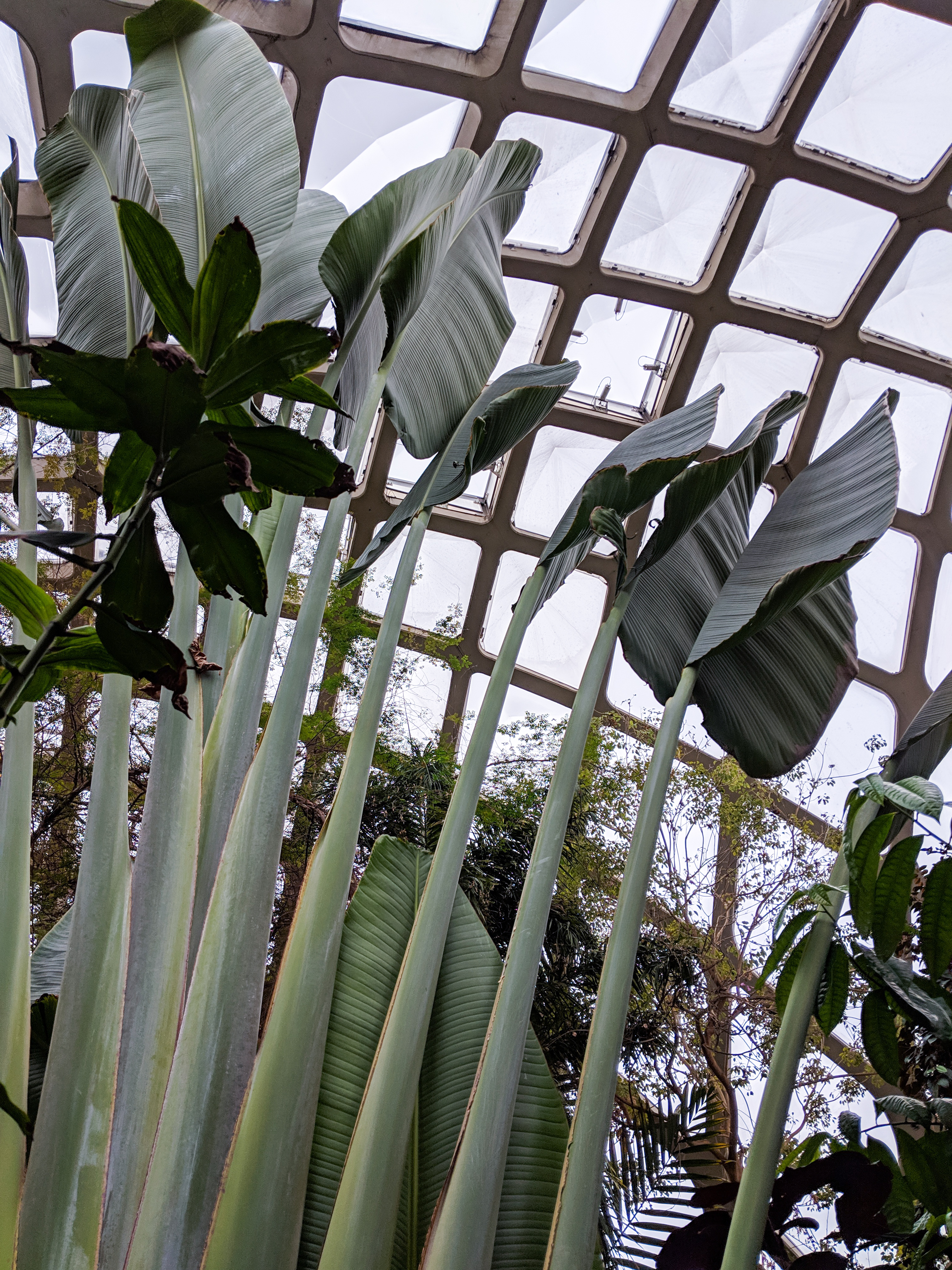 Denver Botanic Gardens, travel guide, pastel party mixing