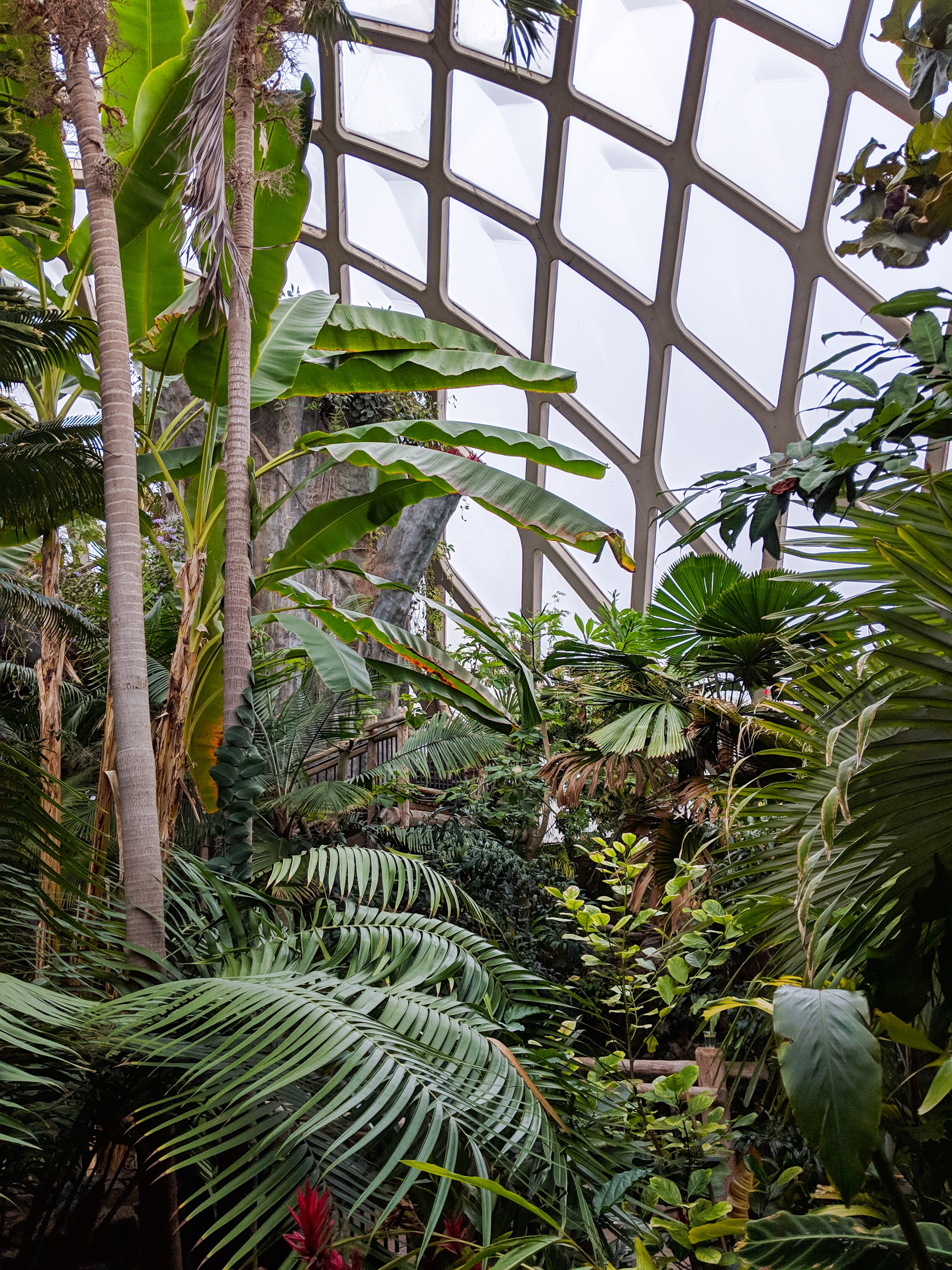 Denver Botanic Gardens, Denver travel guide