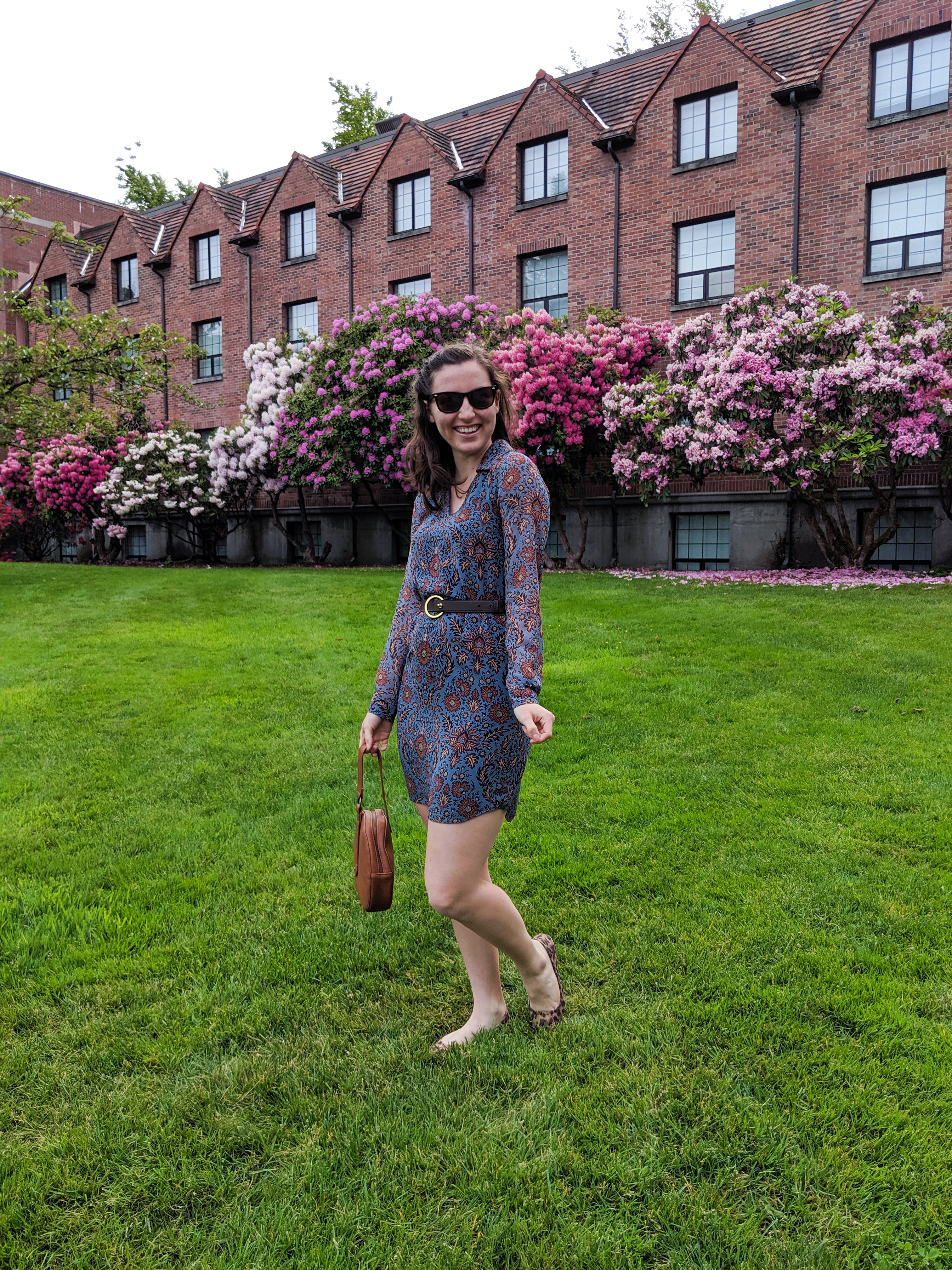 blue patterned Cabi dress, Cabi belt, brown purse, leopard purse