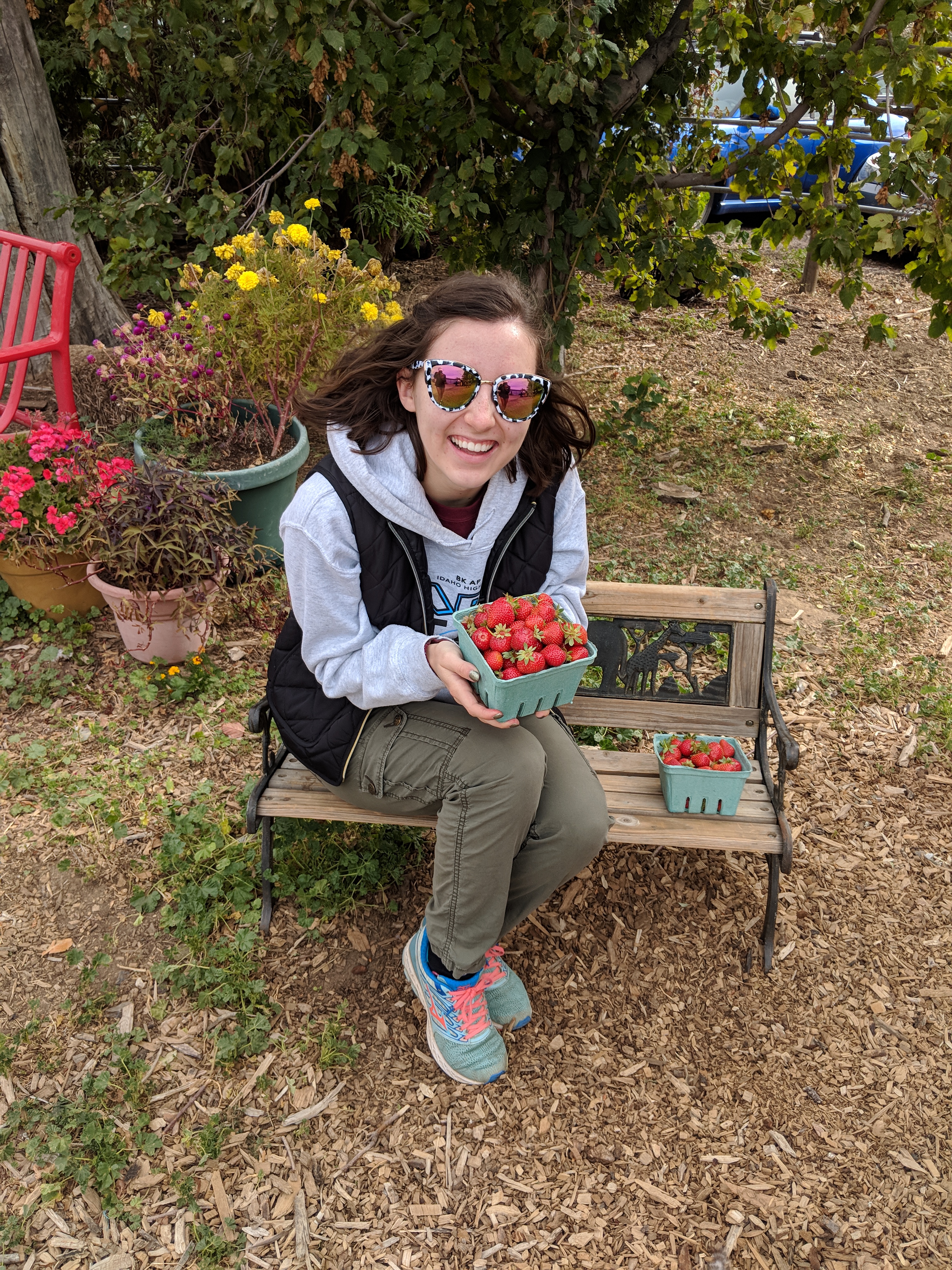berry farm, berry picking, fall activities