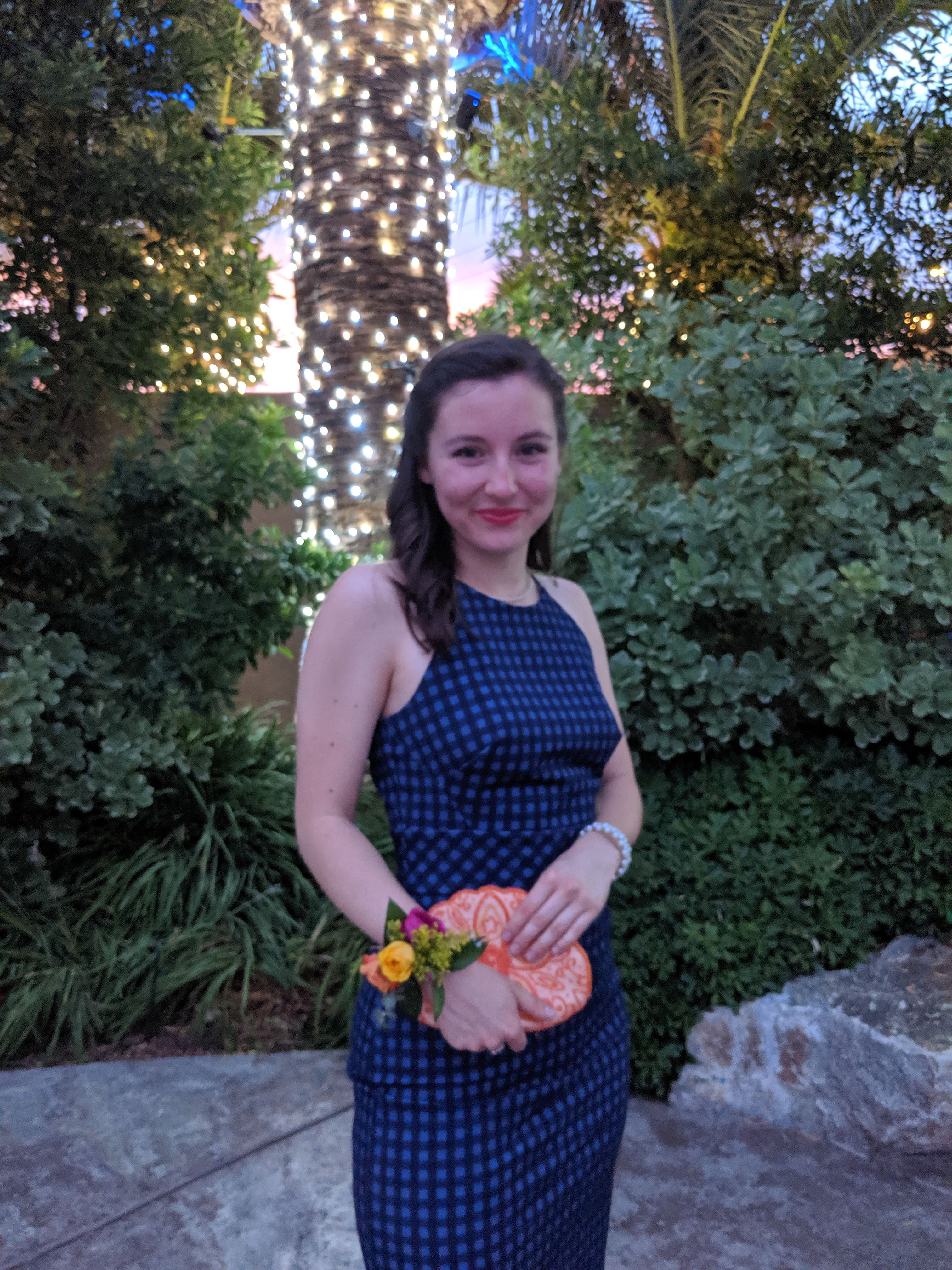 Palm trees, twinkle lights, blue gingham, wedding guest