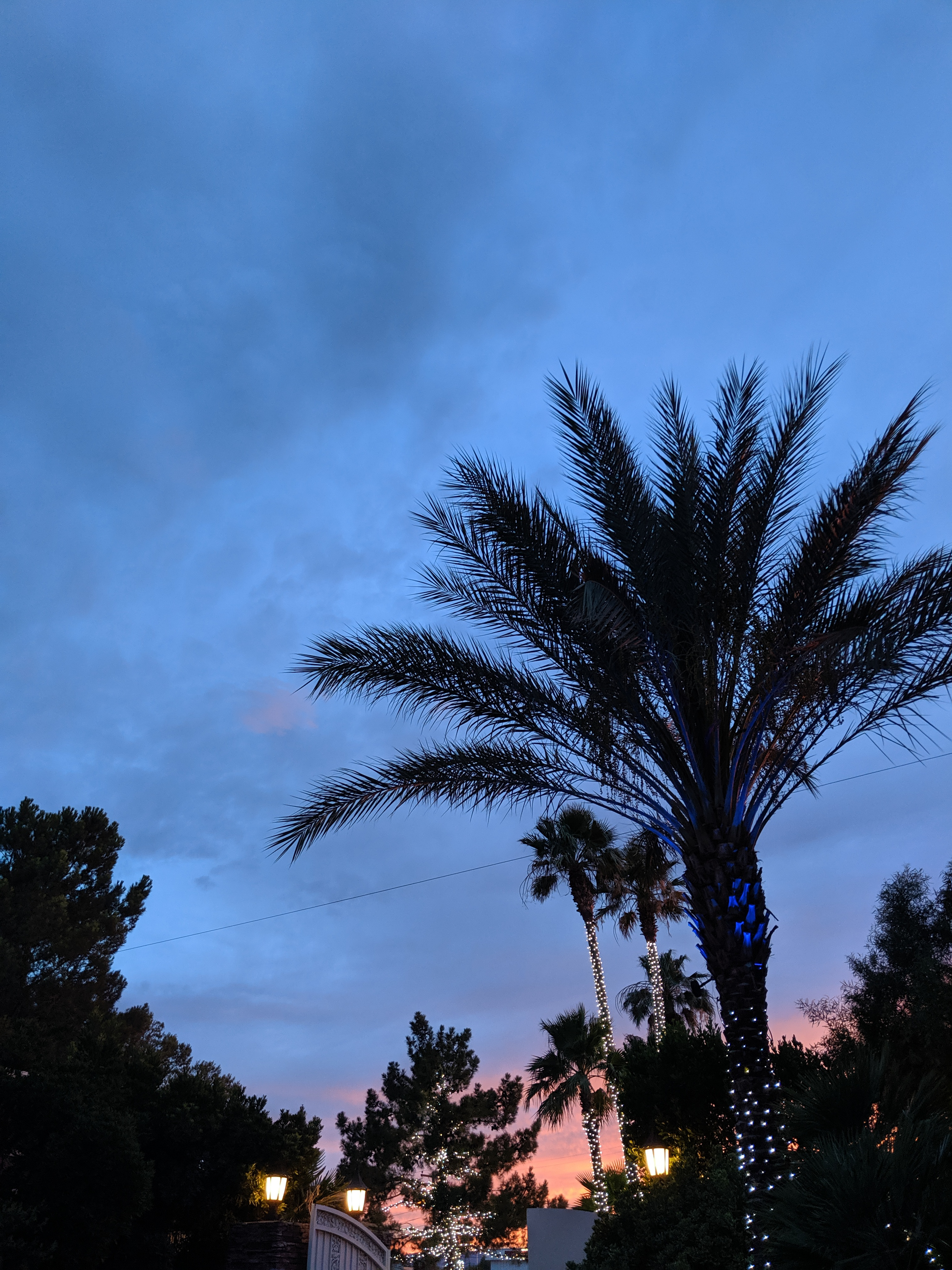 A Gingham Wedding Guest Outfit