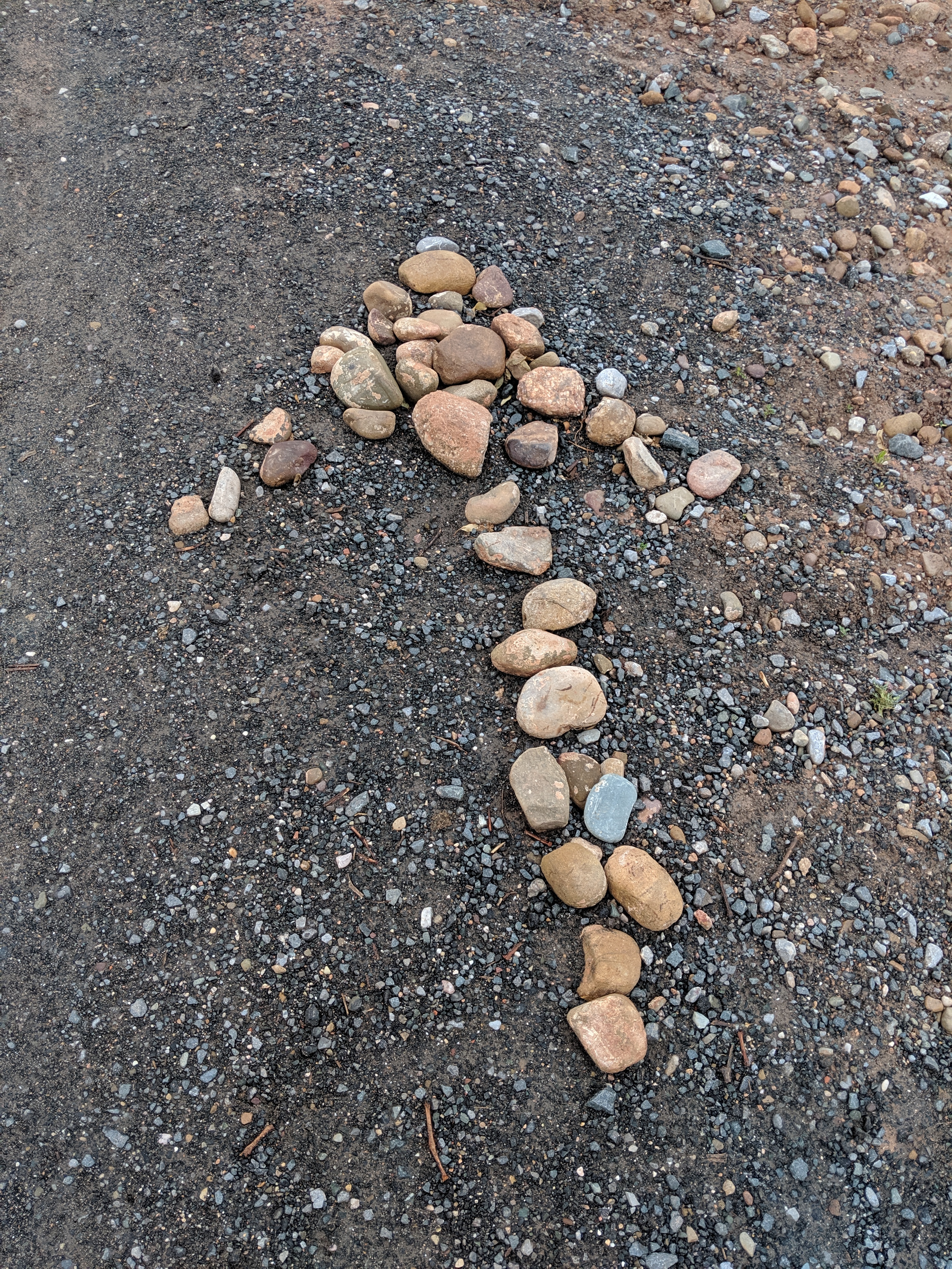 el Camino de Santiago, the Way of St. James