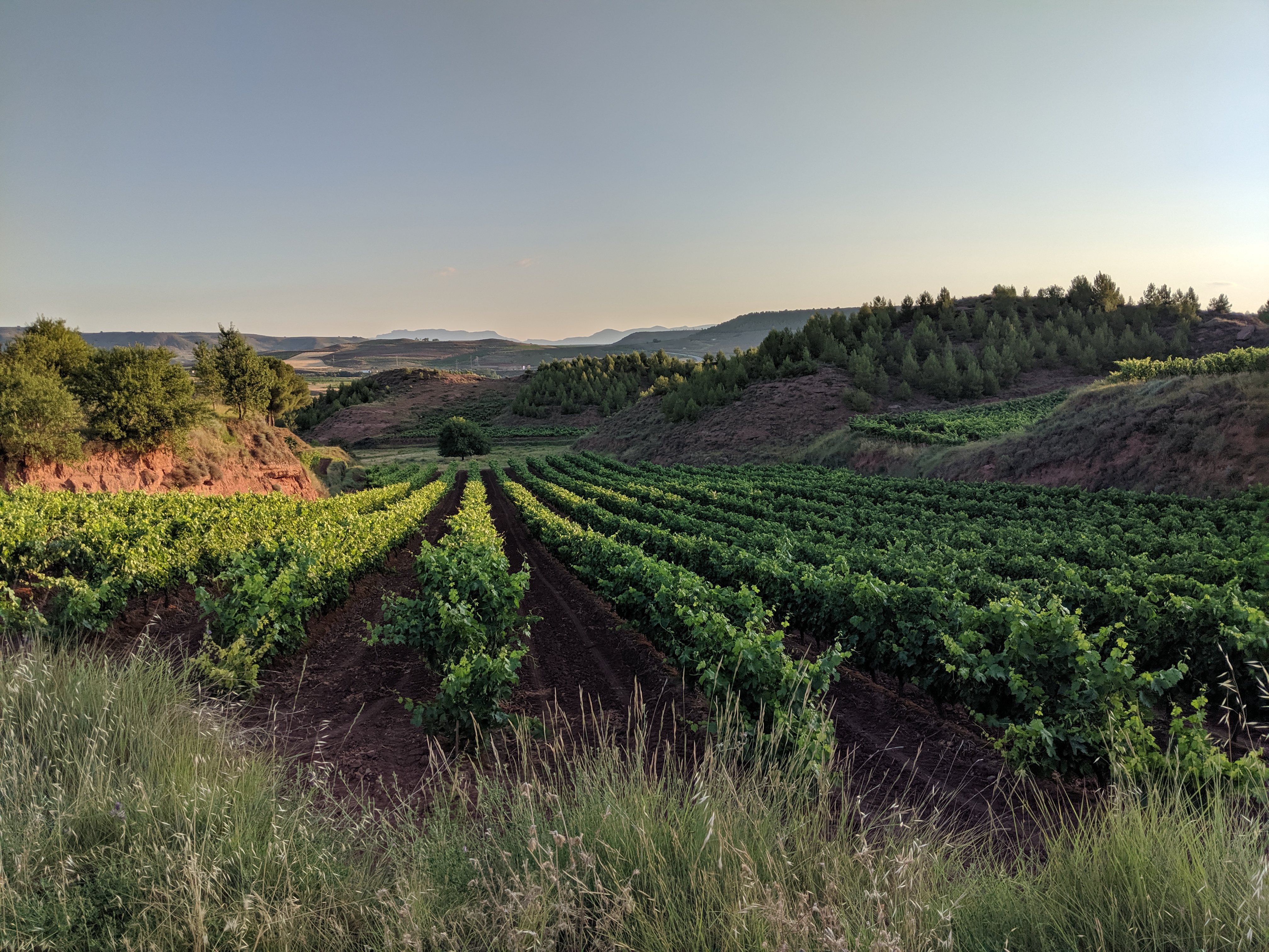 Spain, Spanish countryside, el Camino