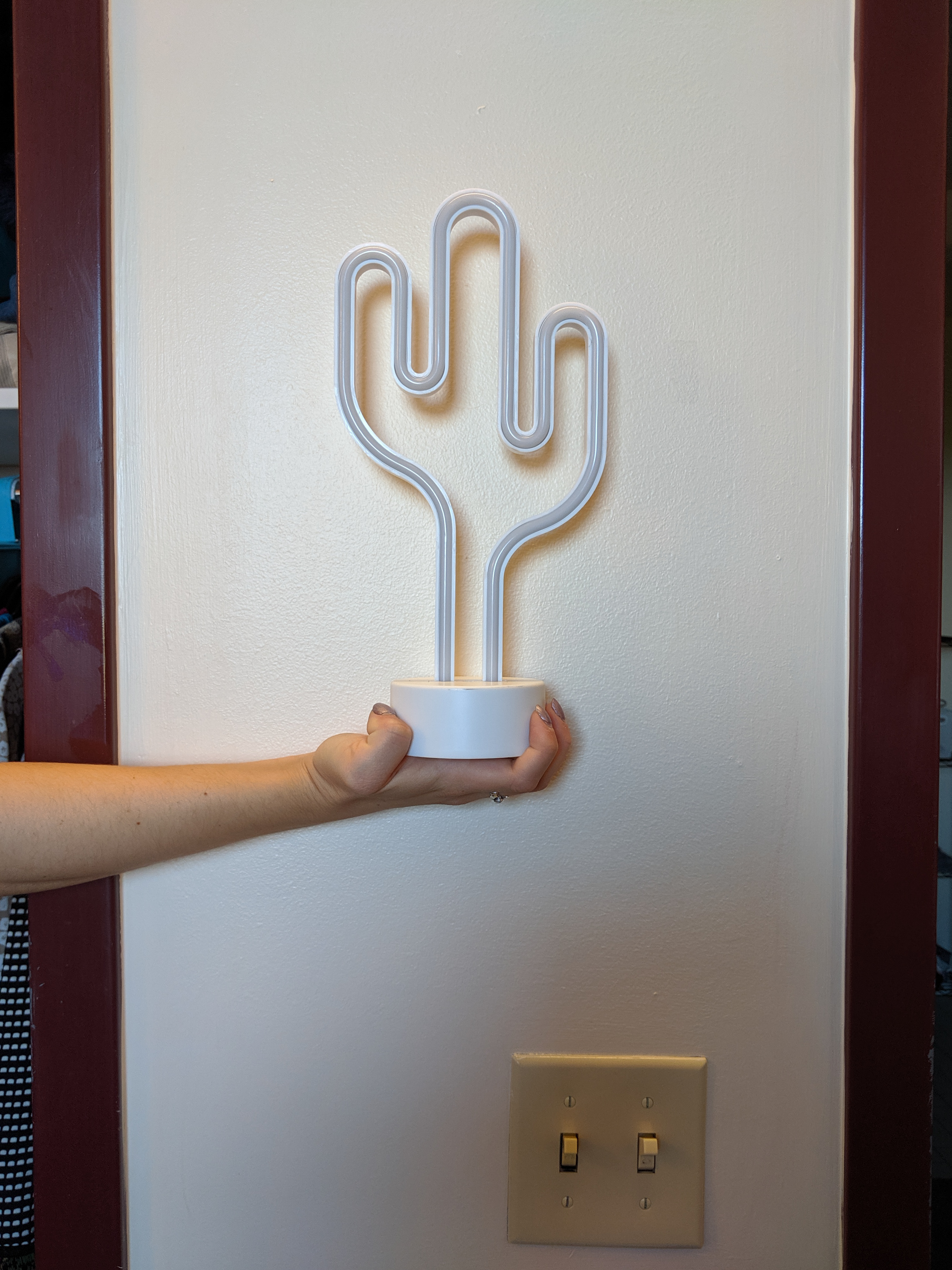 cactus light, Pier 1 Imports