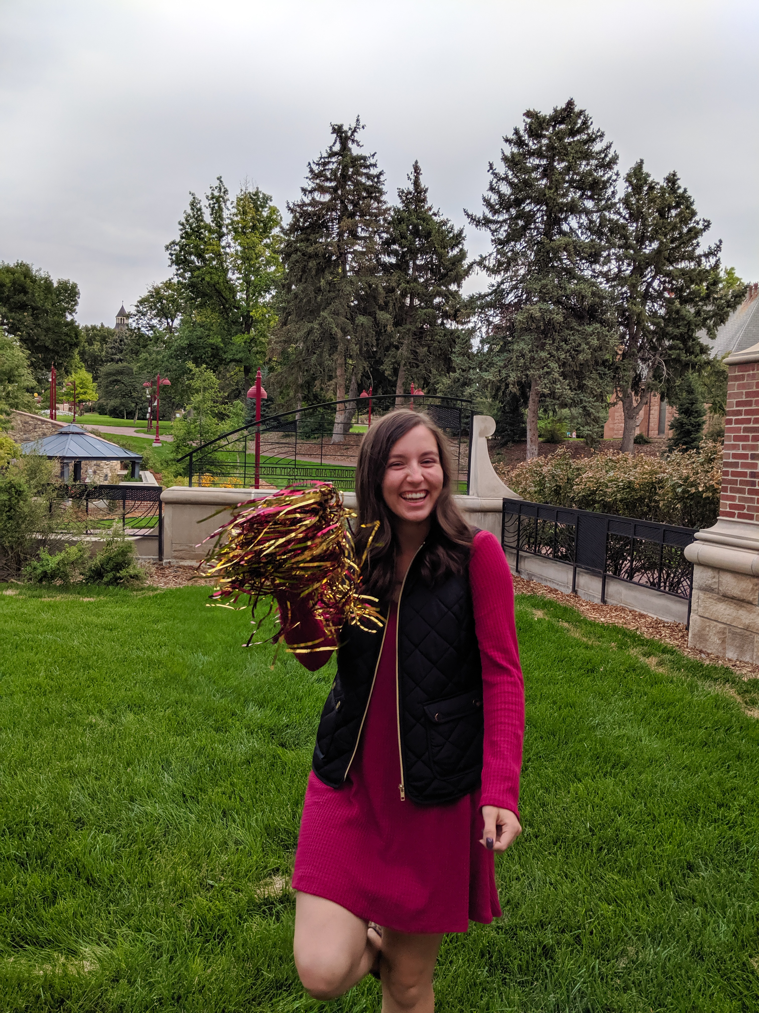 team colors, school spirit, pom poms, cheering