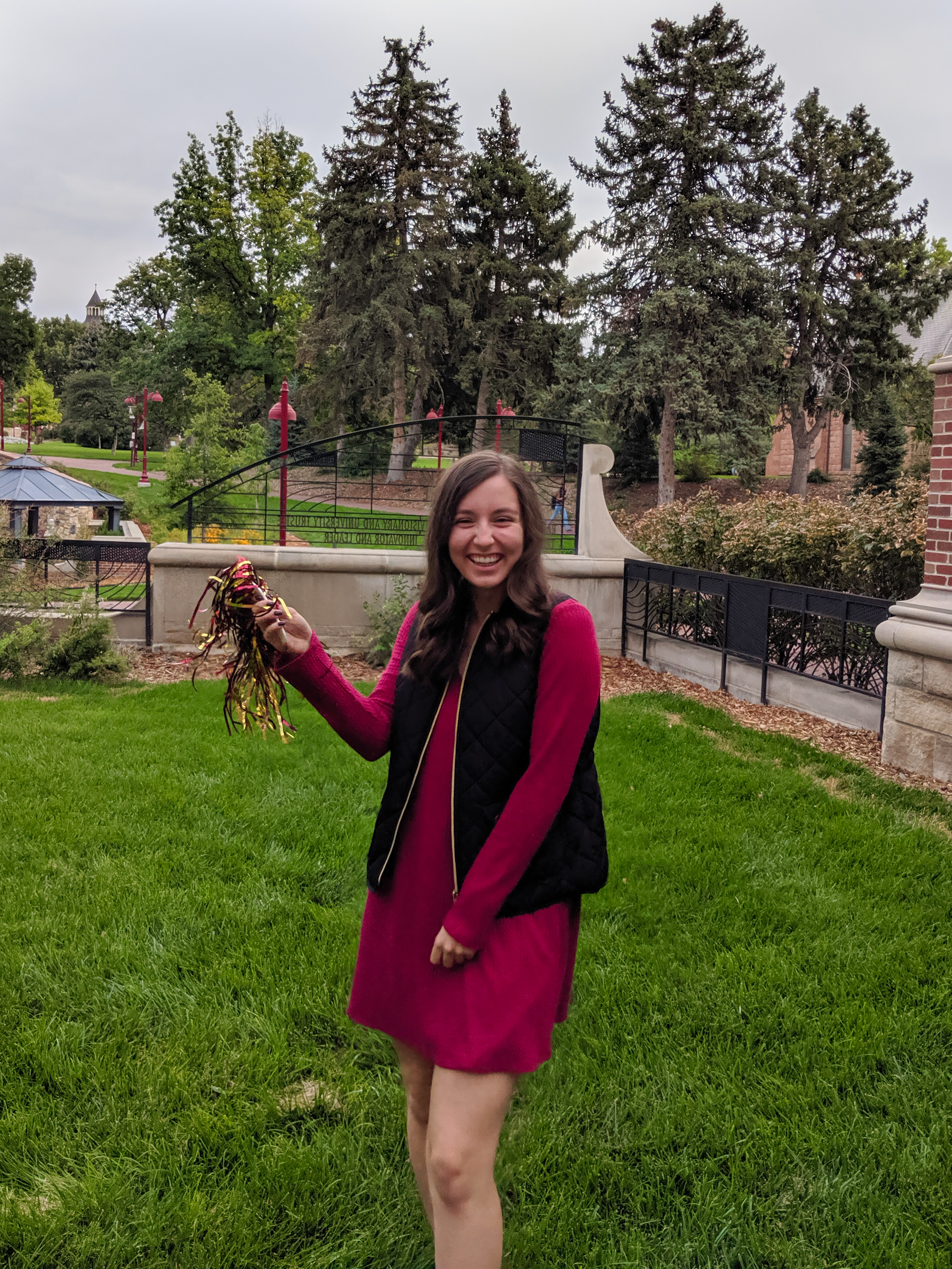 game day, school spirit, crimson and gold