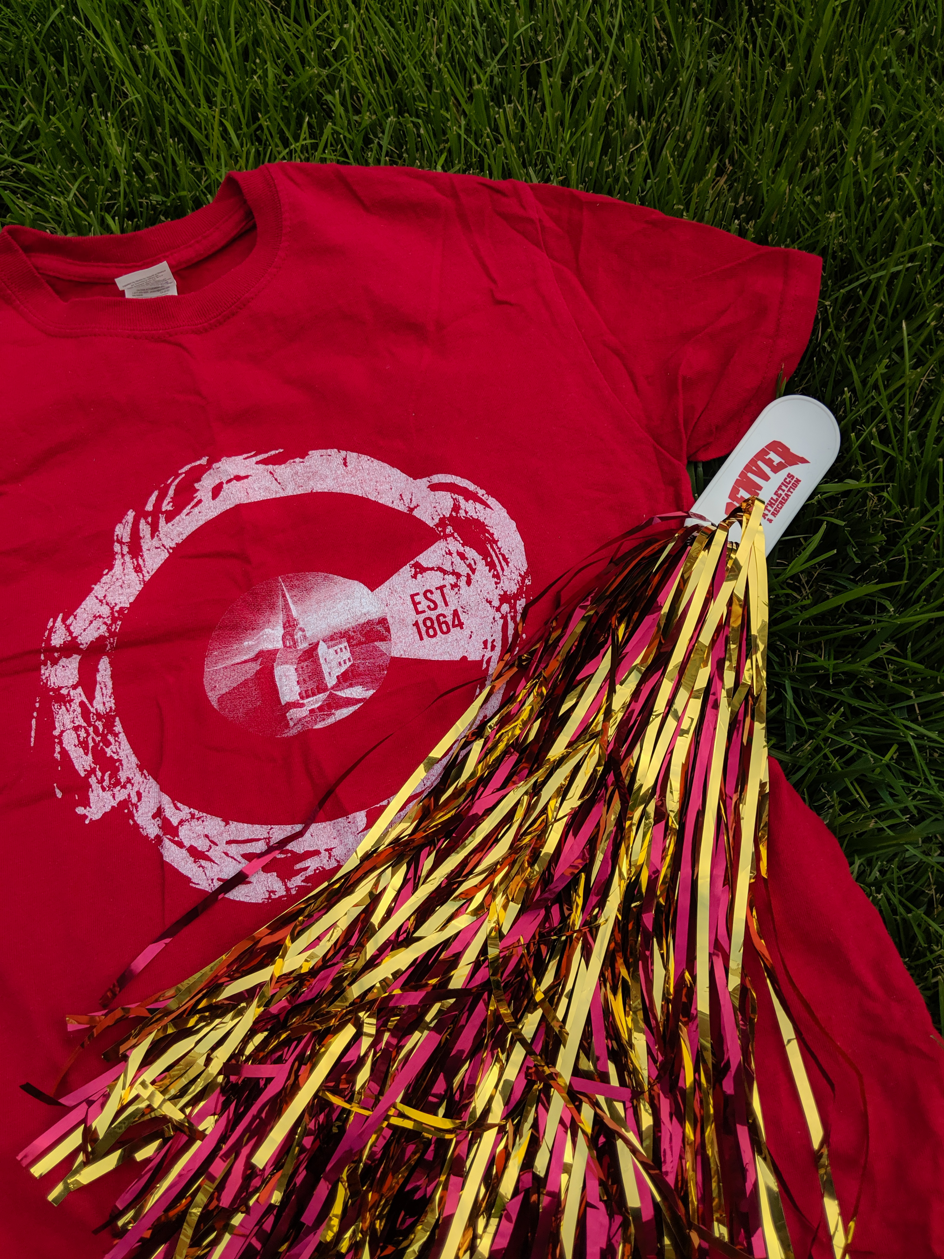 school spirit, sporting events, team colors