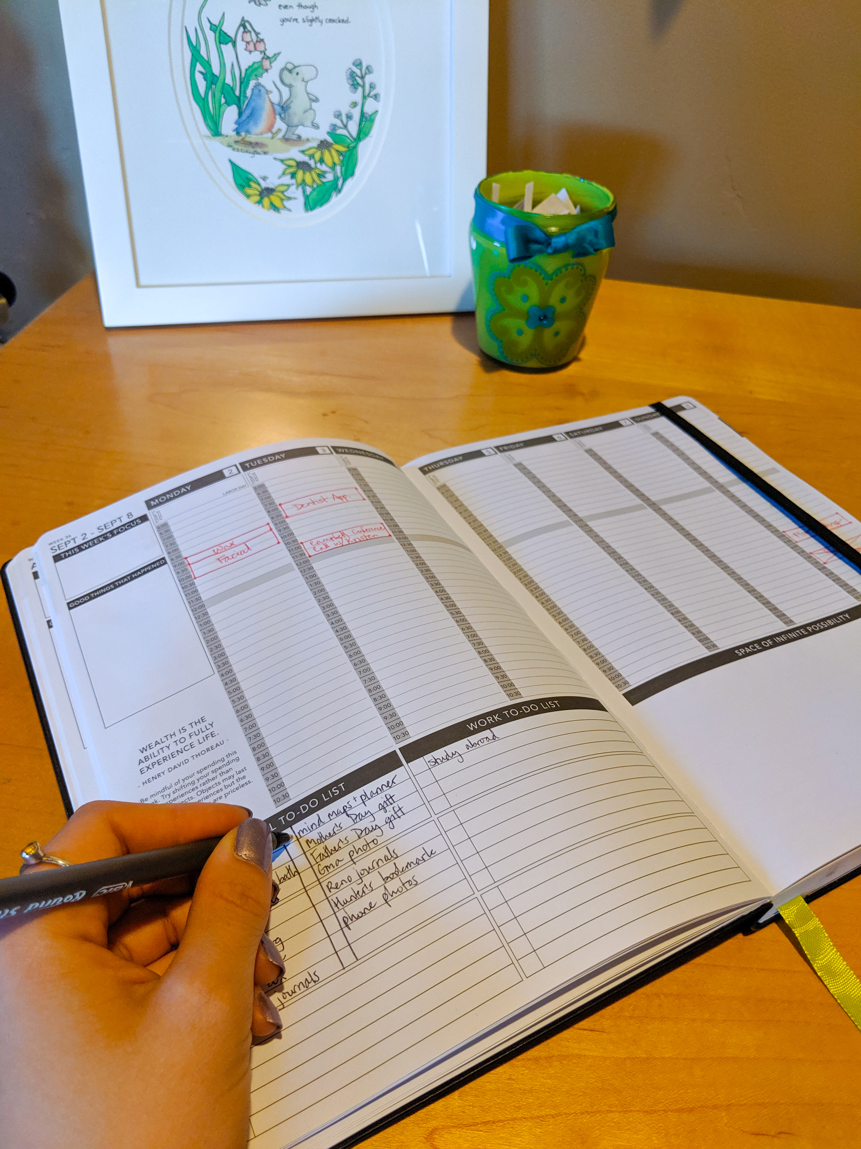 planners, daytimers, college student, goal setting