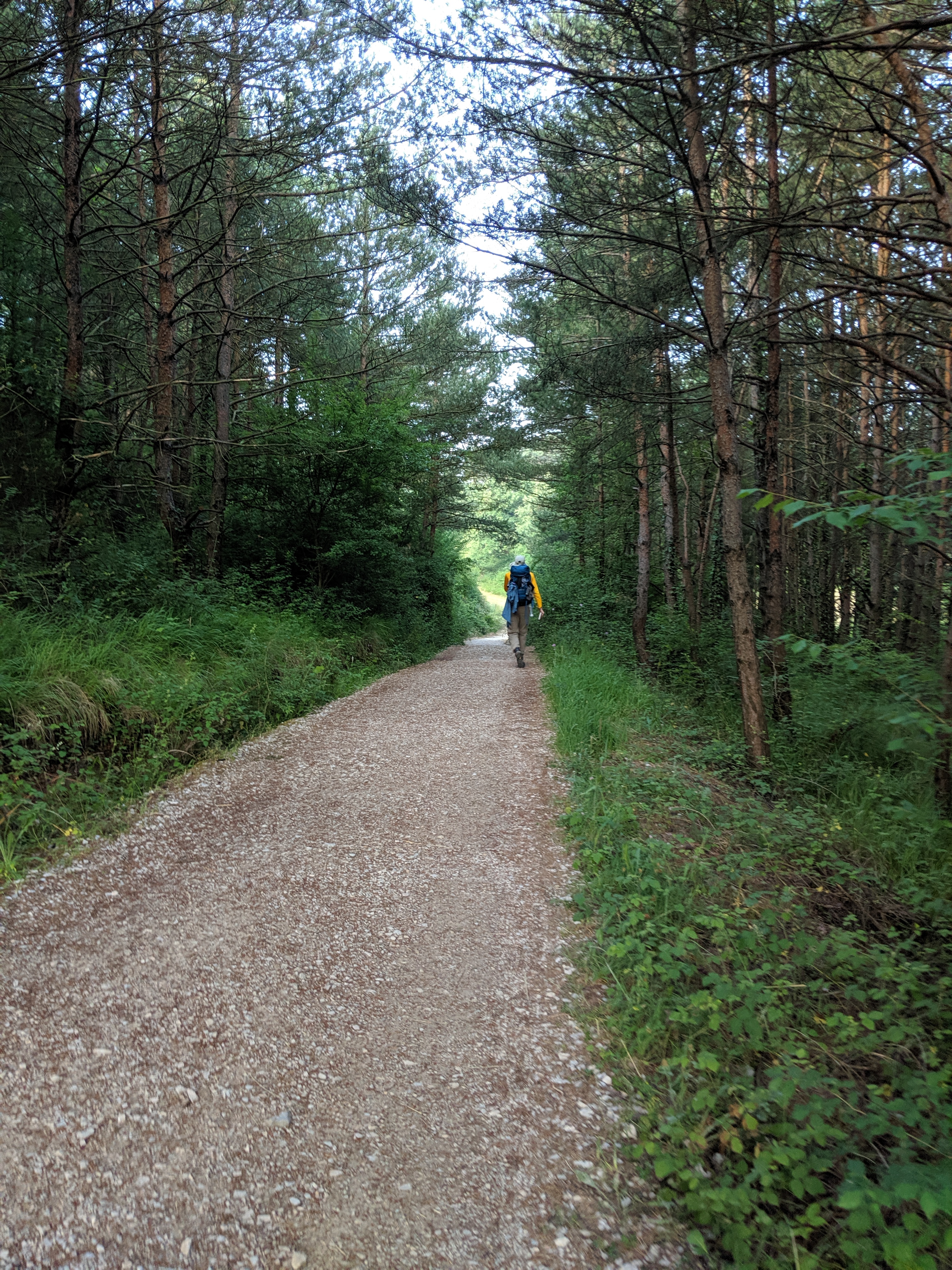 camino de santiago, pilgrimage, spain, travel