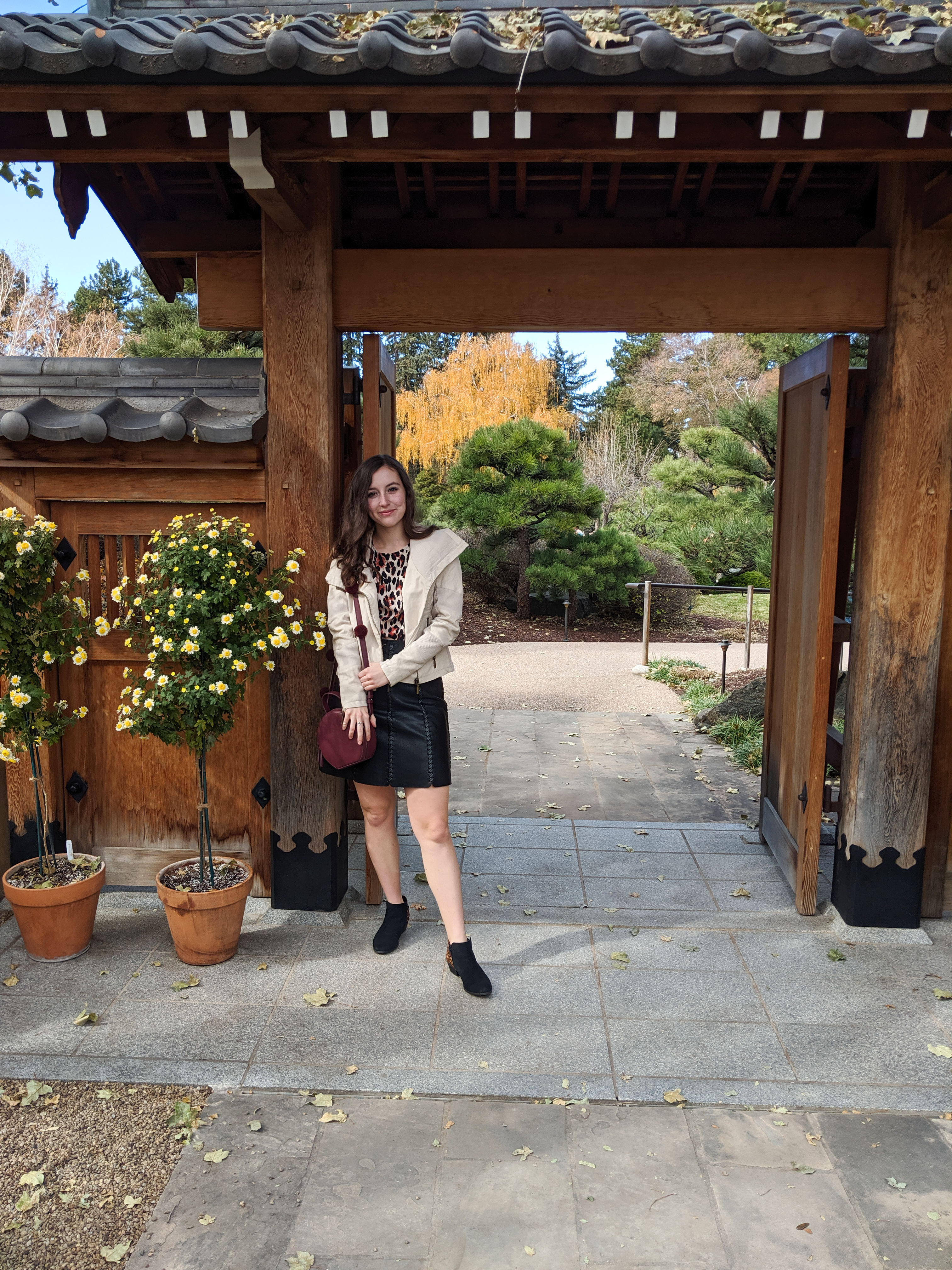 fall outfit, leopard dress, black skirt, fall outfit, animal print