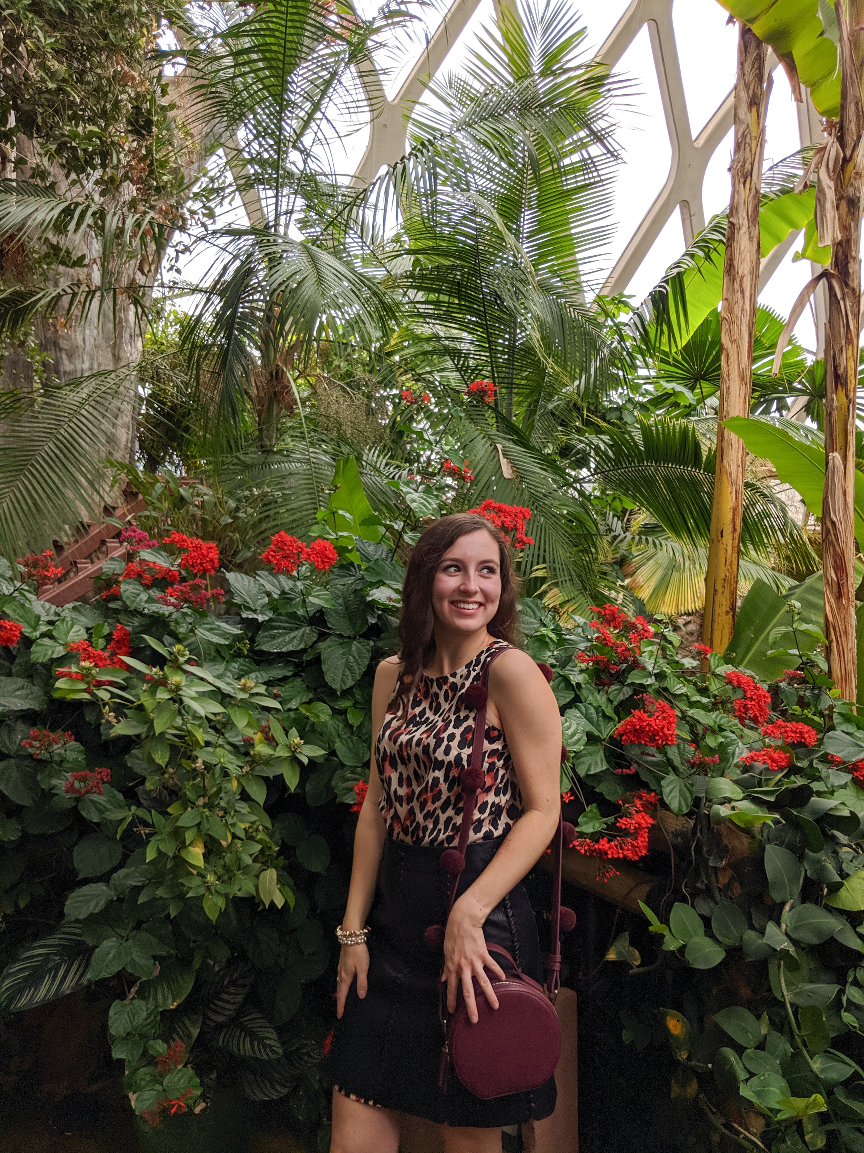 leopard dress, fall outfit, animal prints
