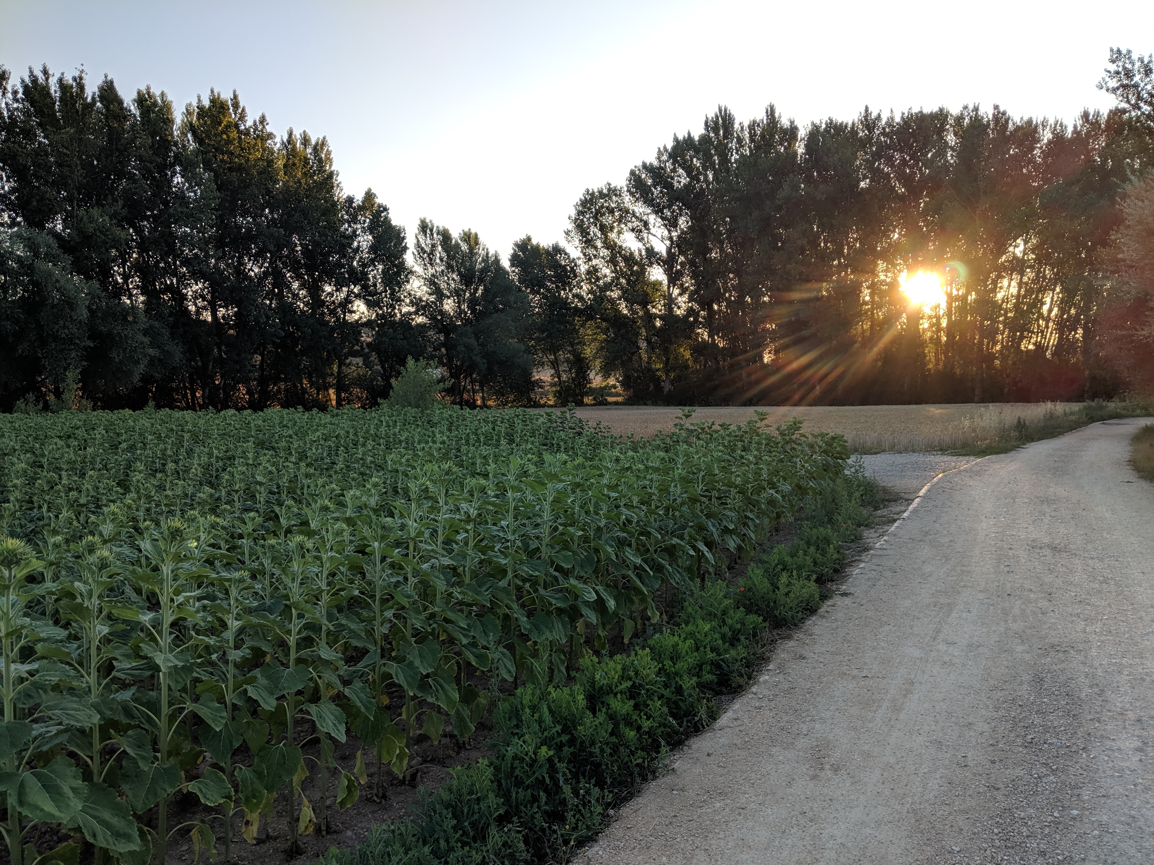 Spanish countryside, backpacking, Camino de Santiago, pilgrim