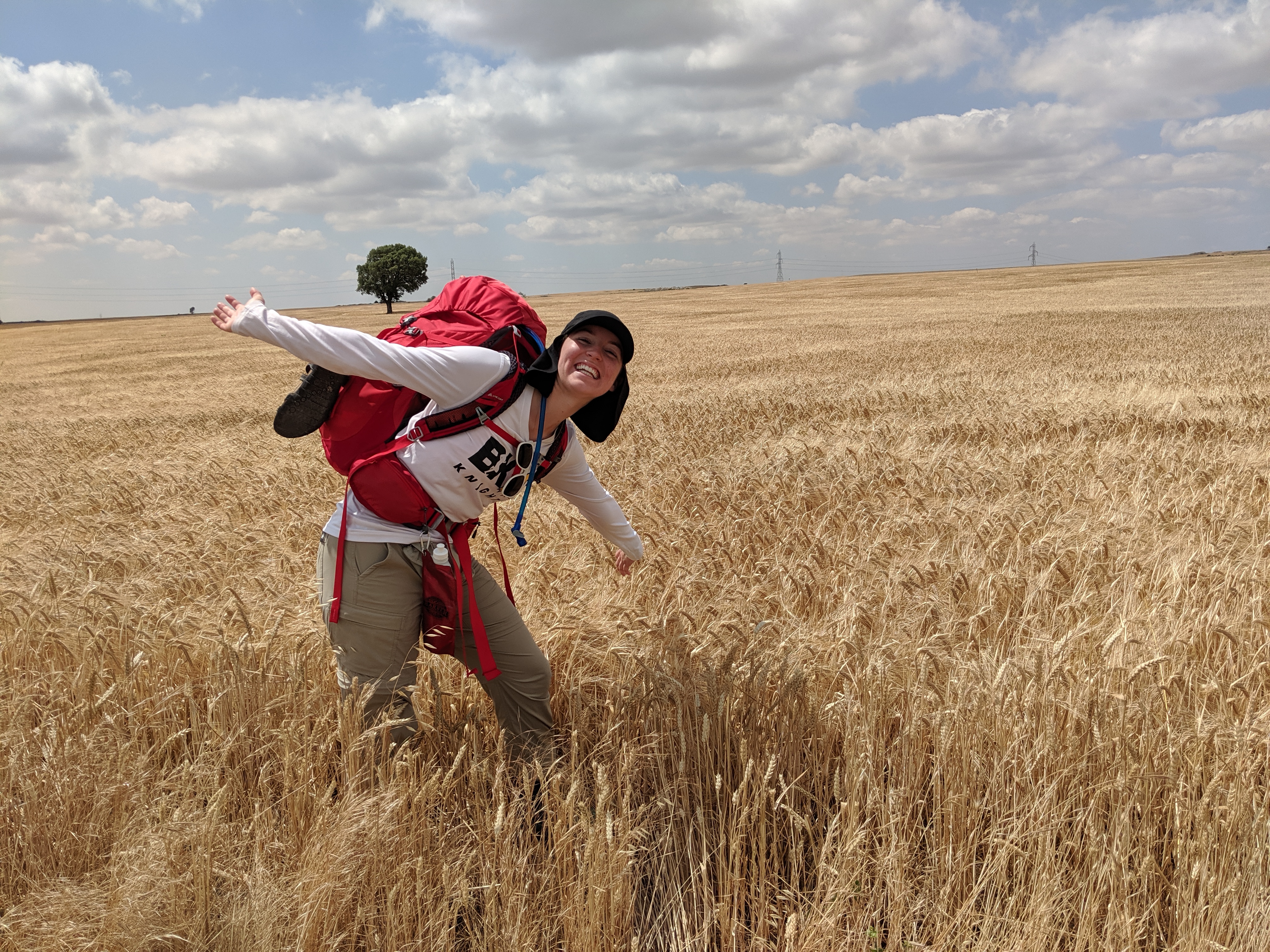 wheat fields, meseta, Camino, Spanish plains