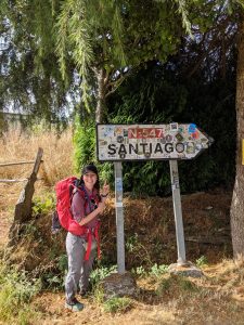 Santiago de Compostela, Camino de Santiago, pilgrimage