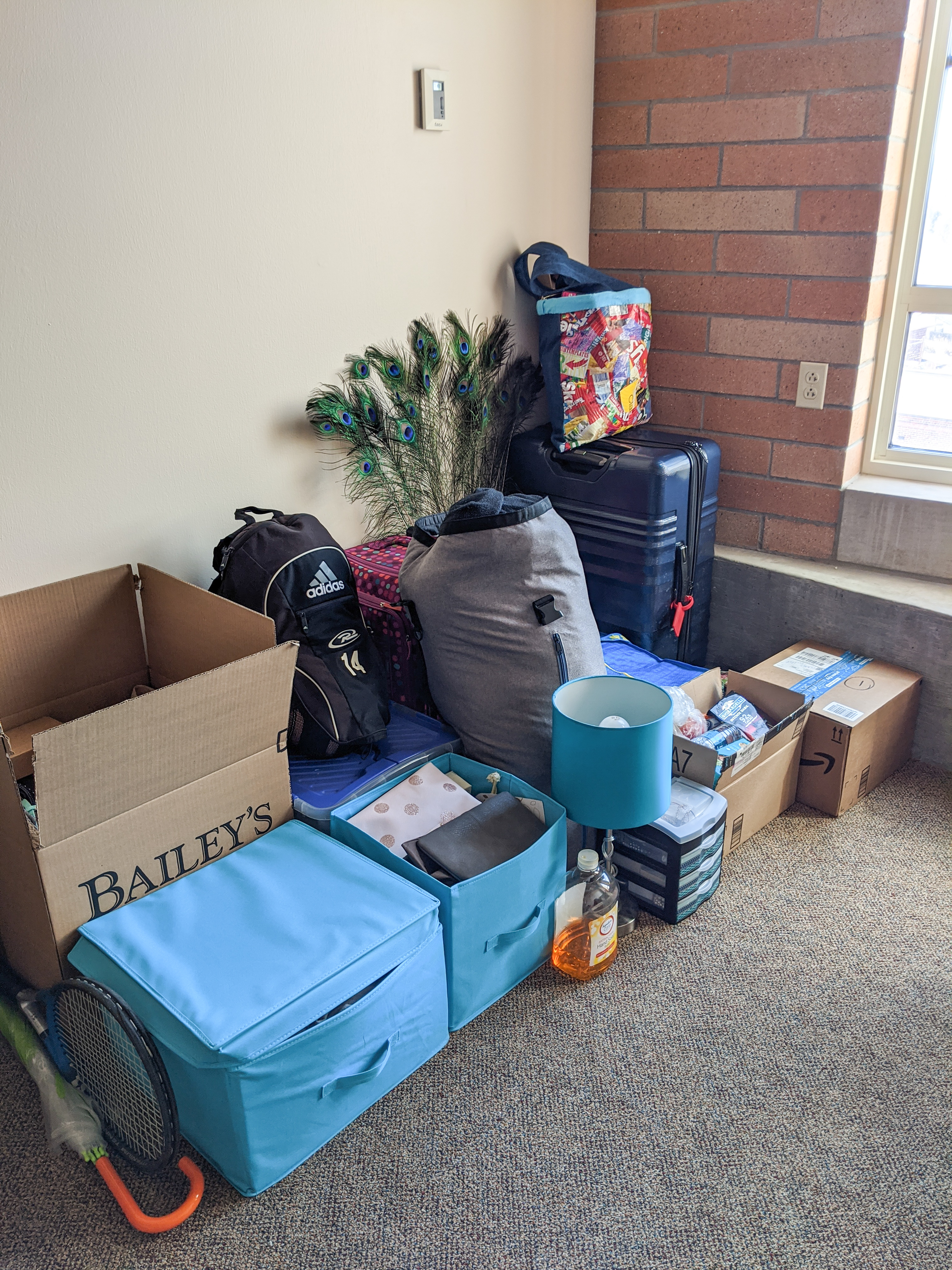 packing up, moving, college dorm room, dorm living