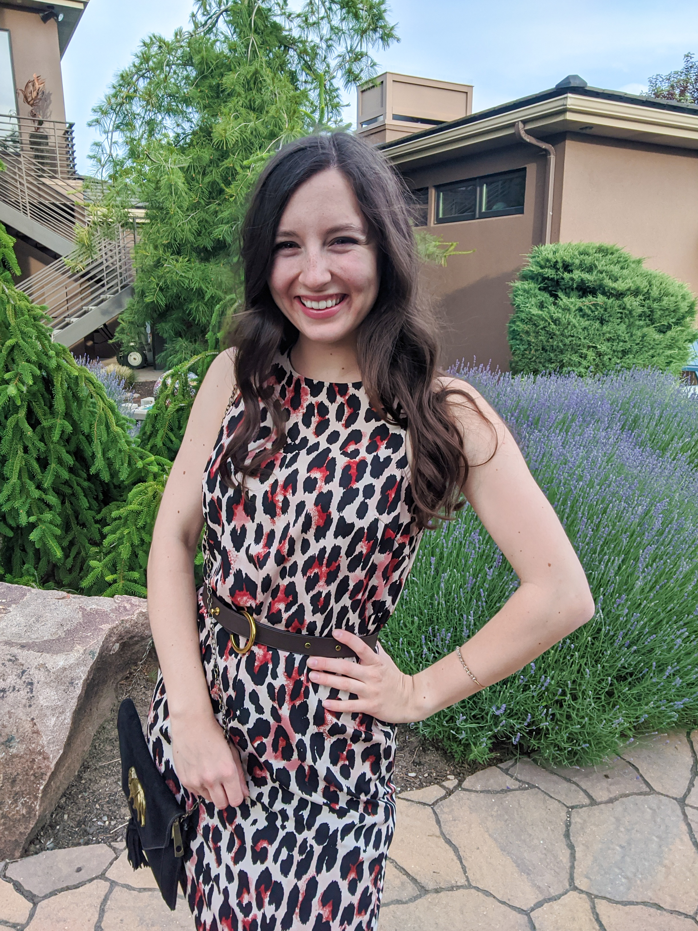 affordable fashion, leopard dress, brown belt, cabi clothing