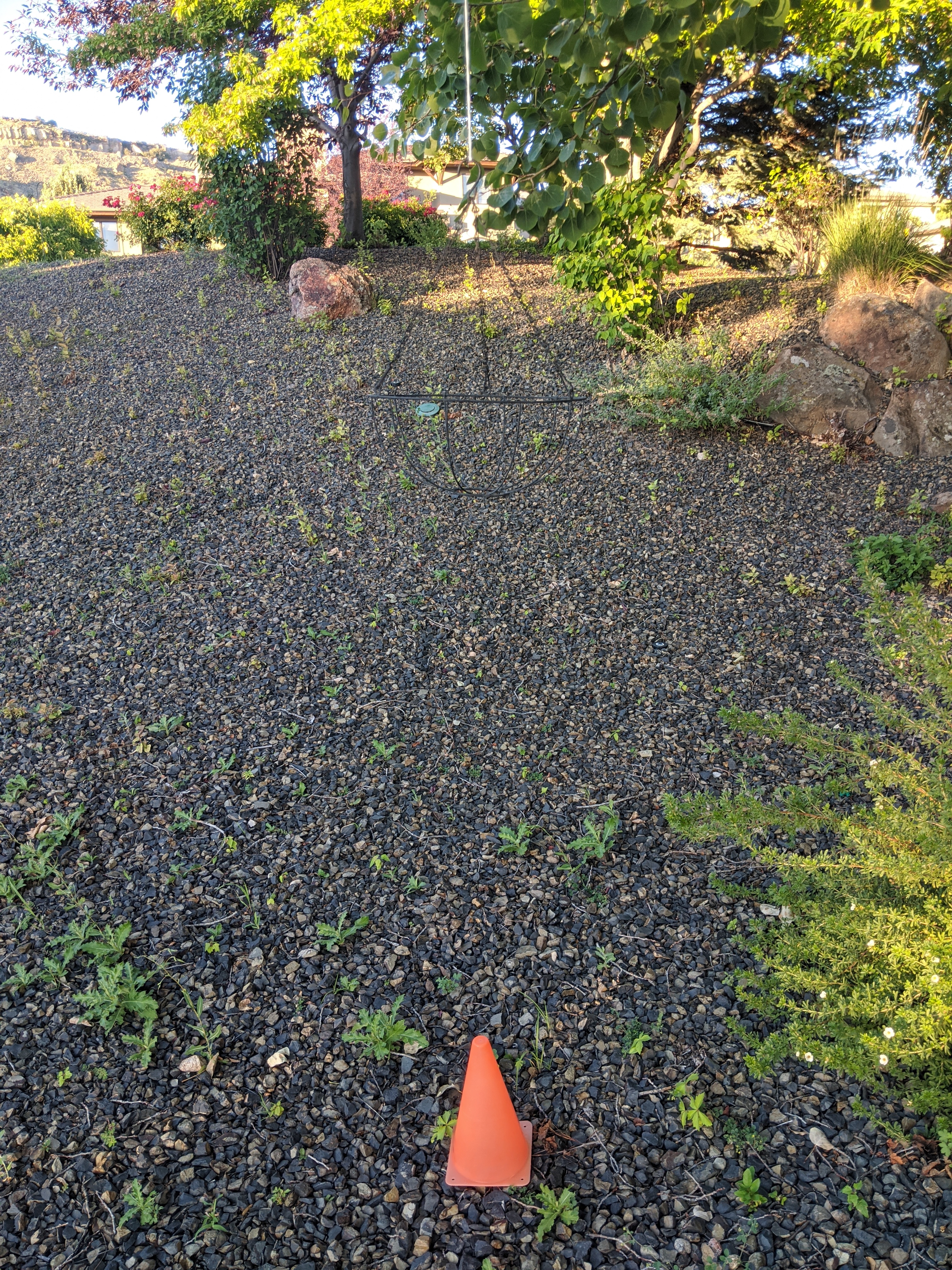 homemade-frisbee-golf-backyard-games