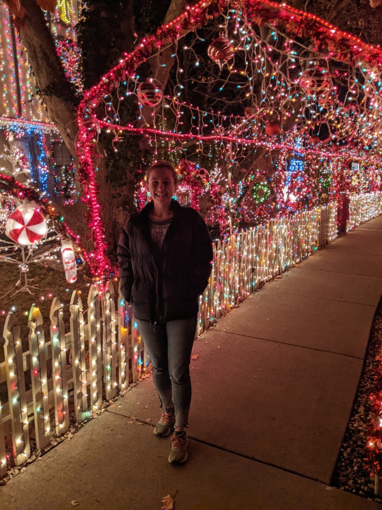 light-show-boise-blogger-christmas-lights