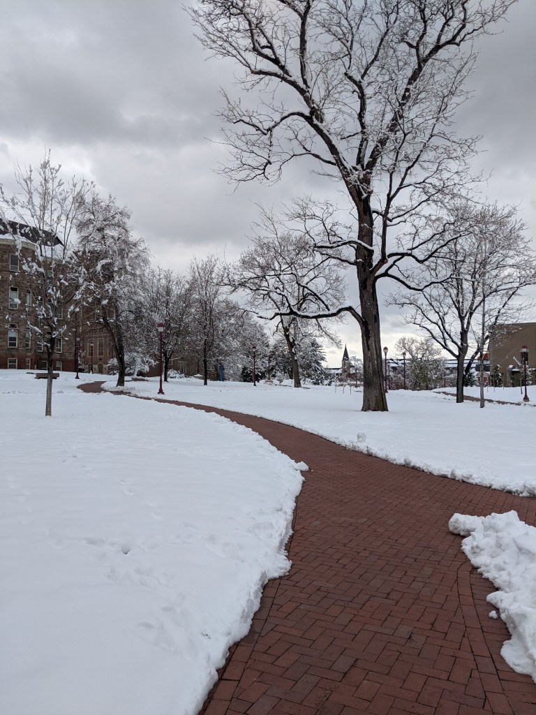 winter-wonderland-denver-blogger-fashion-university-of-denver