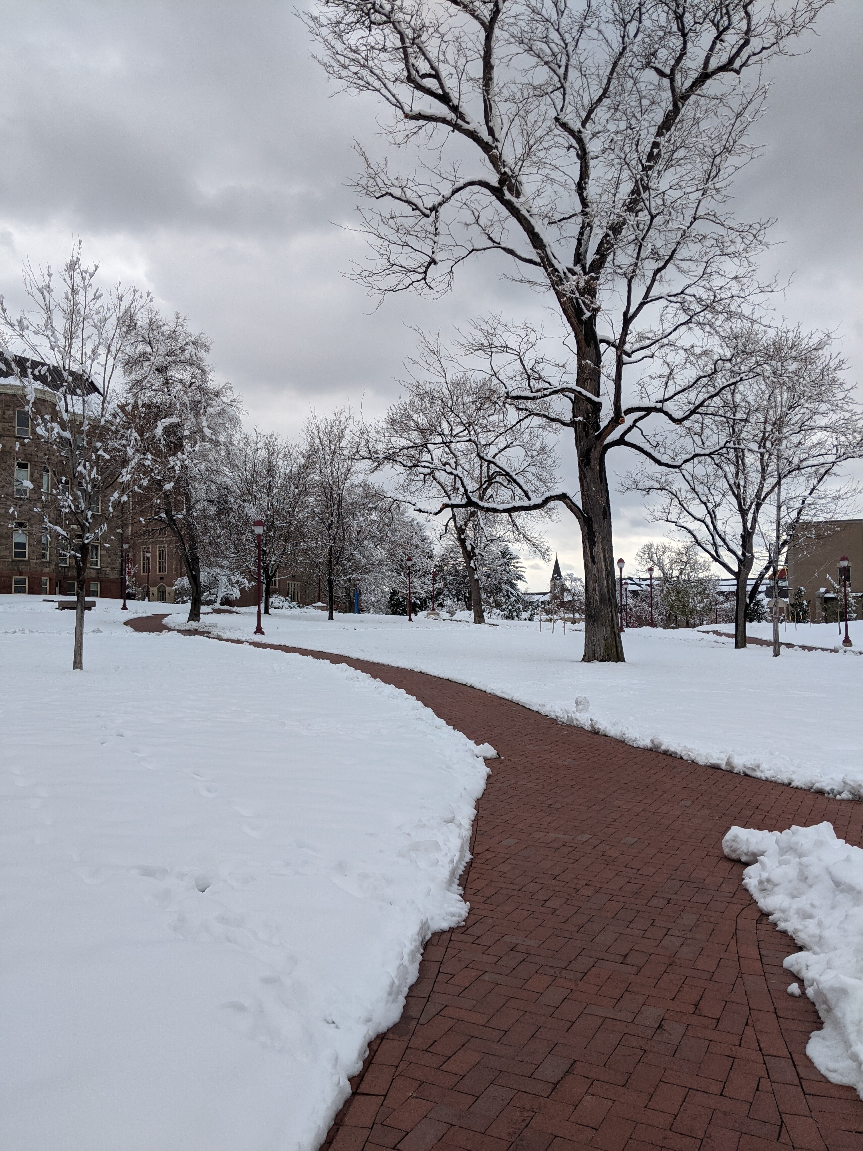 Weekly Recap #16, 2021