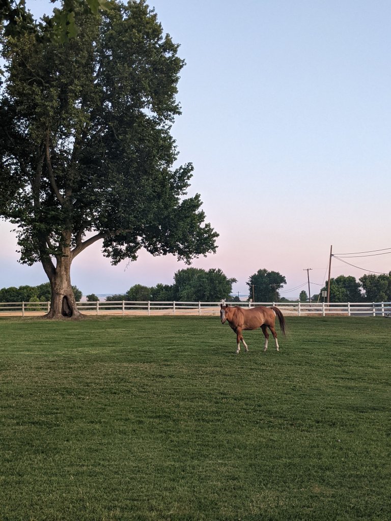 horse-lasater-ranch-walla-walla-wine-tasting