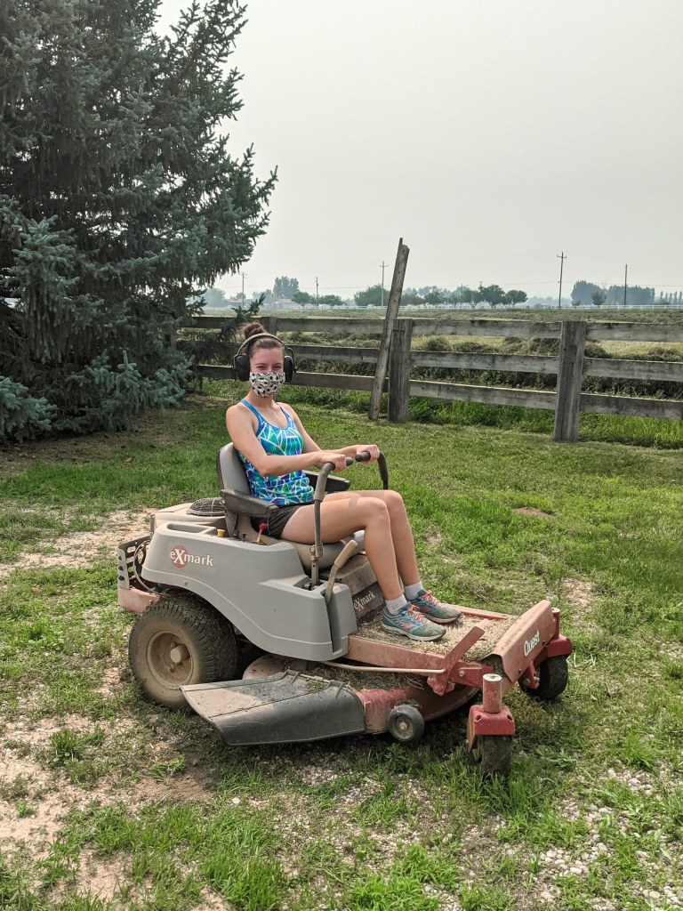 lawnmower-mowing-lawn-farm-chores