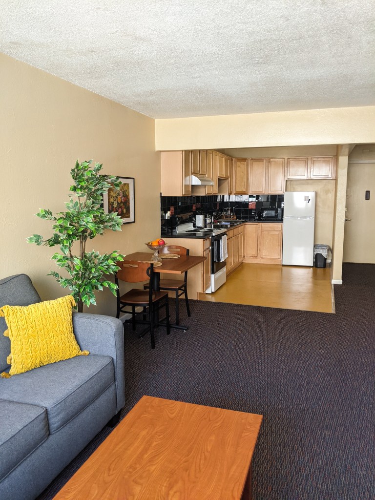 yellow-throw-pillow-fake-tree-kitchen-college-apartment