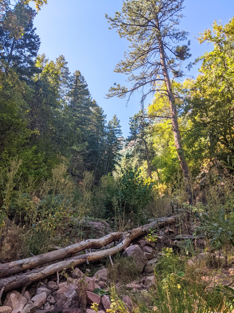 camino-de-santiago-hike-flatirons-american-pilgrims-on-the-camino