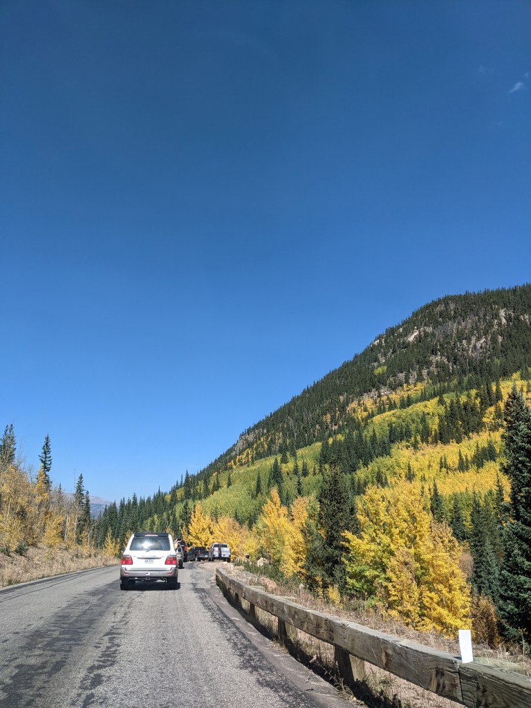 colorado-fall-leaves-roadtrip-college-blogger