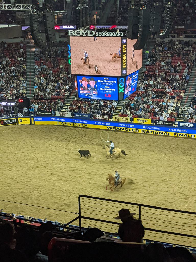 national-finals-rodeo-calf-roping