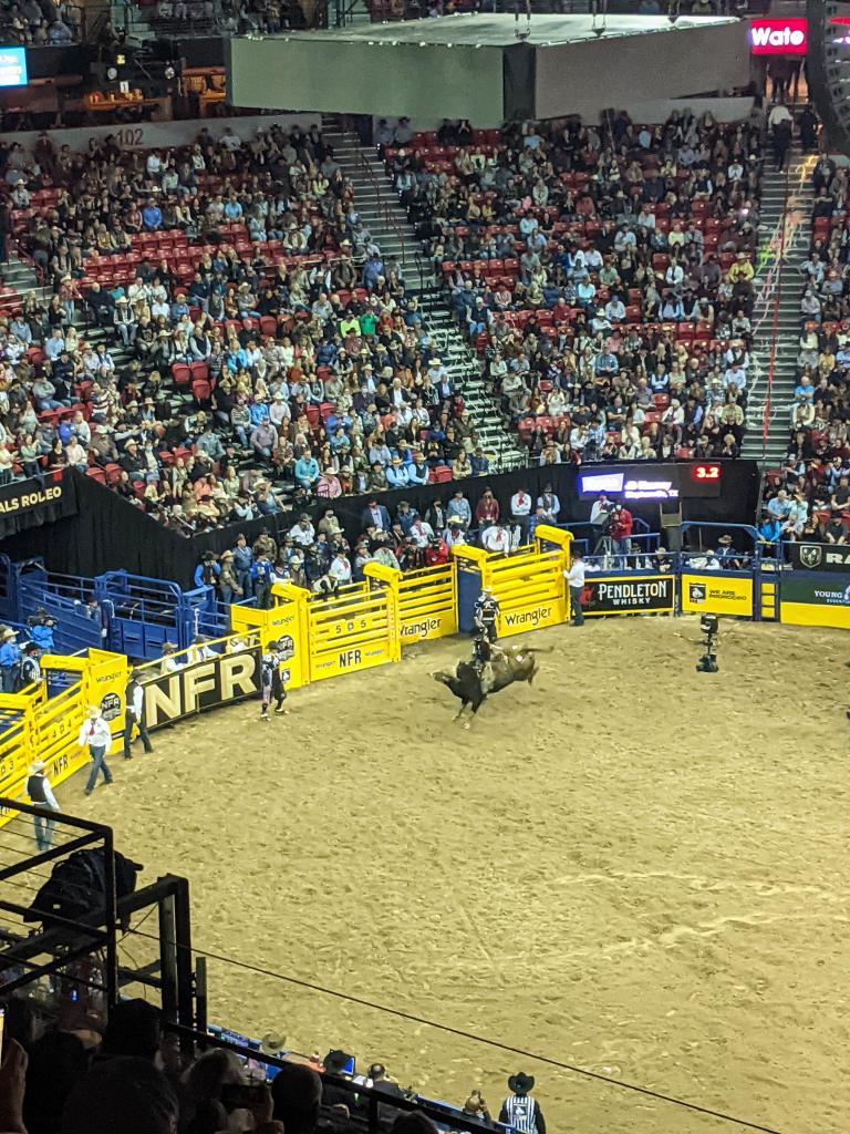 national-finals-rodeo-bull-riding