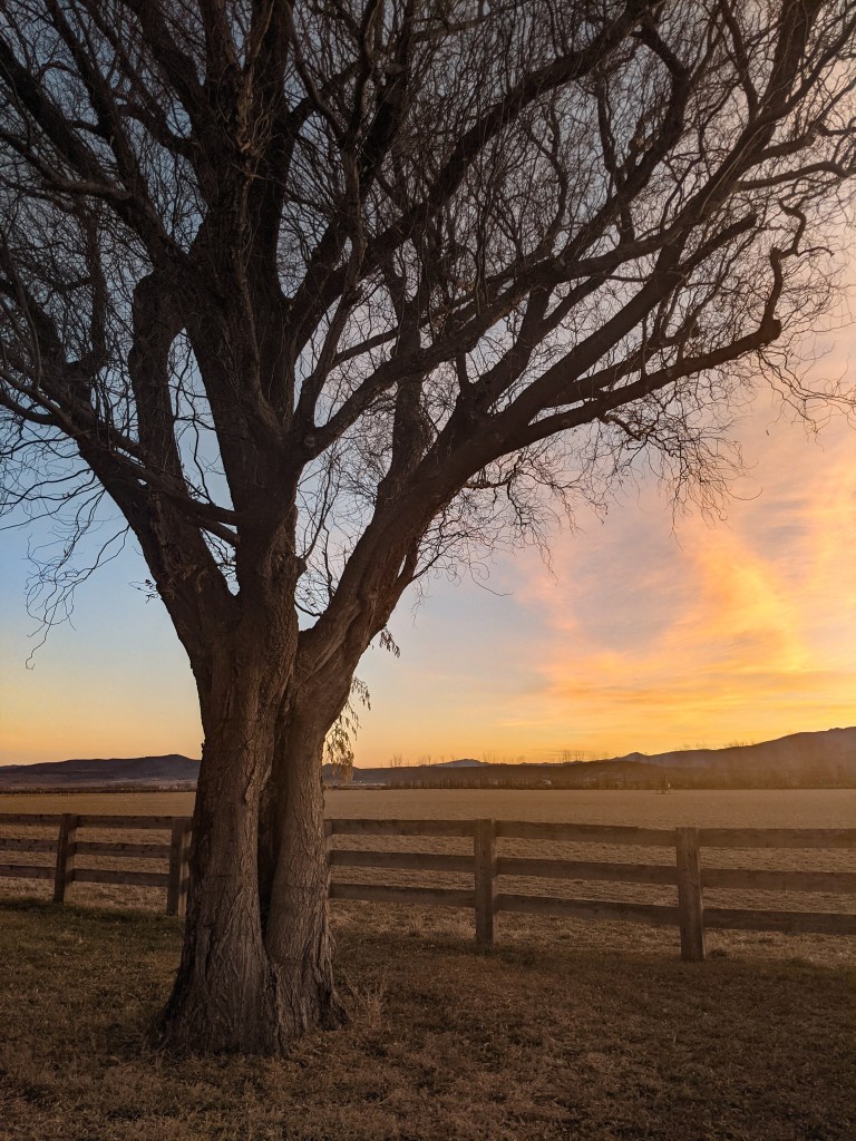 utah-sunrise-farm-life