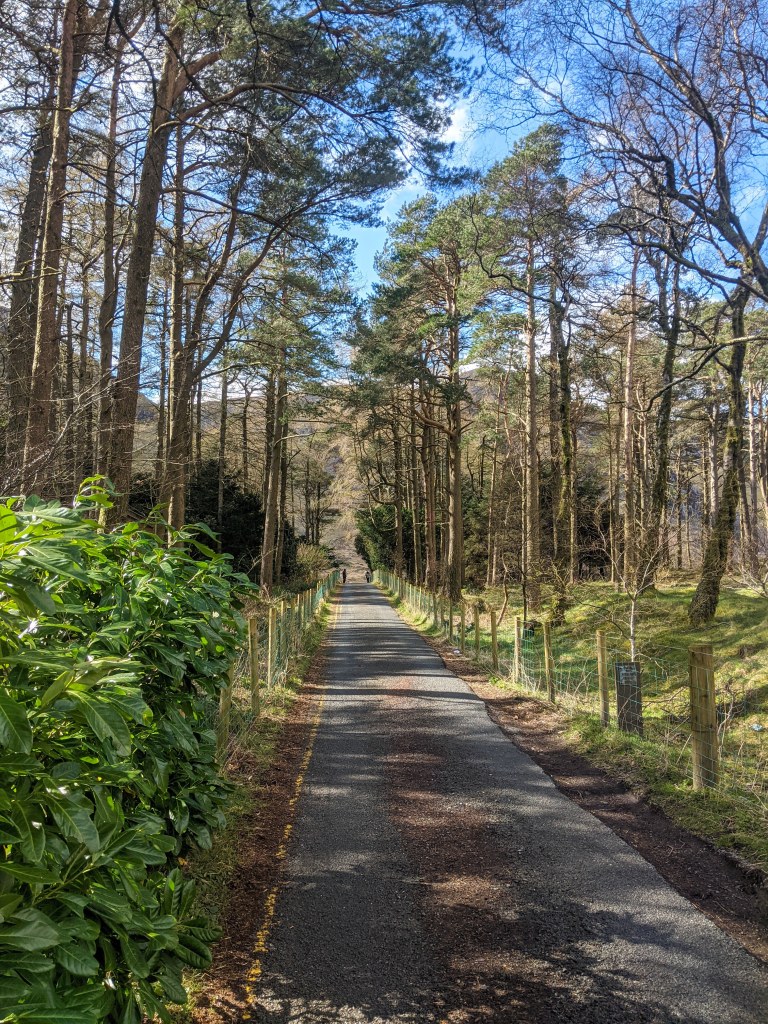 snowdonia-national-park-north-wales-forest-hiking