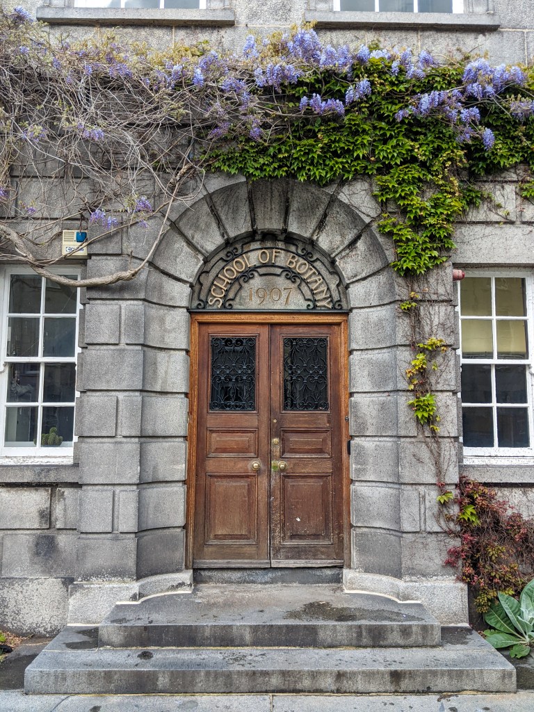 trinity-college-dublin-school-of-botany