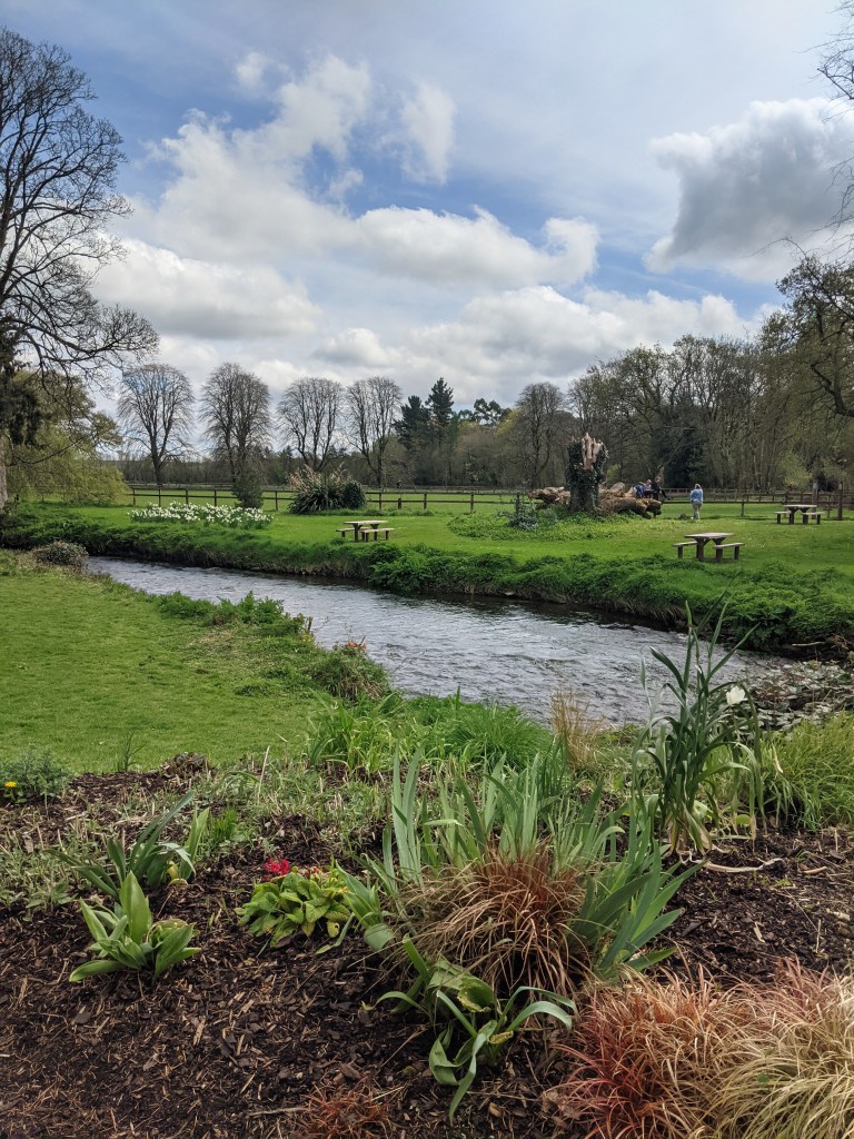blarney-castle-cork-ireland-study-abroad