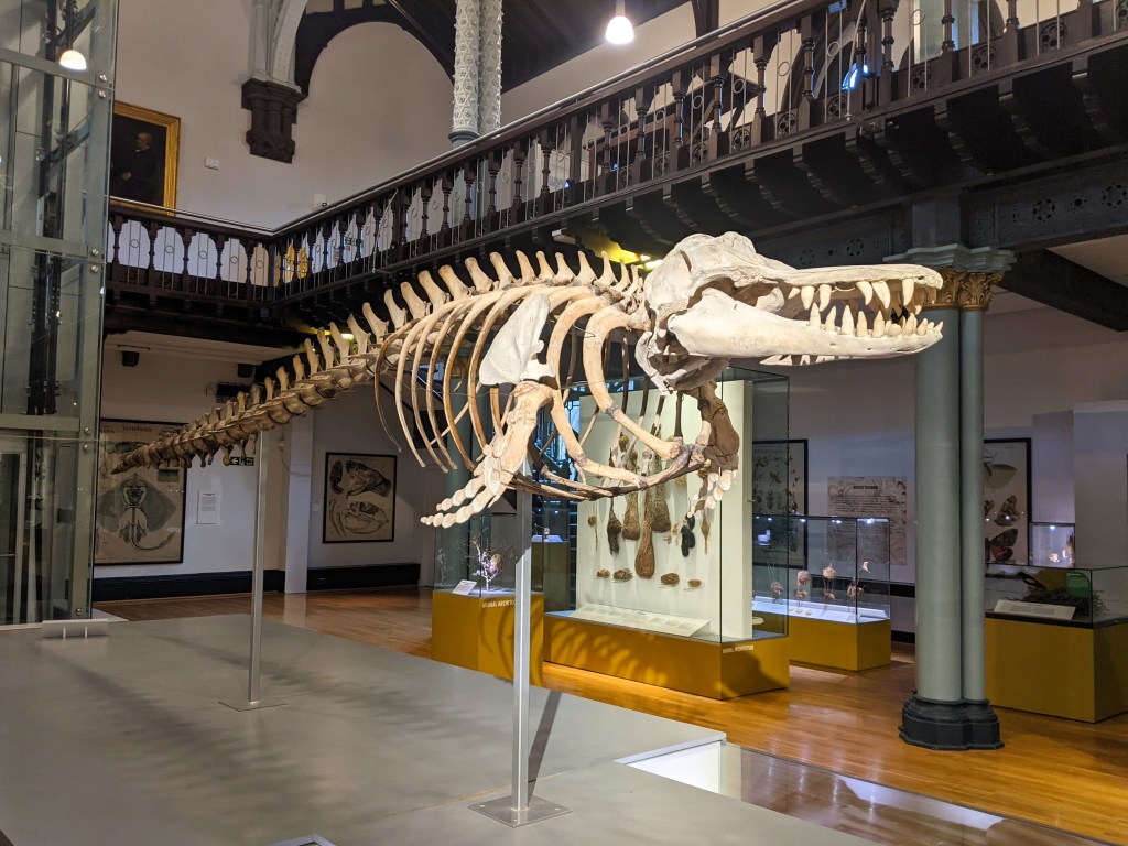 hunterian-art-gallery-museum-glasgow-scotland