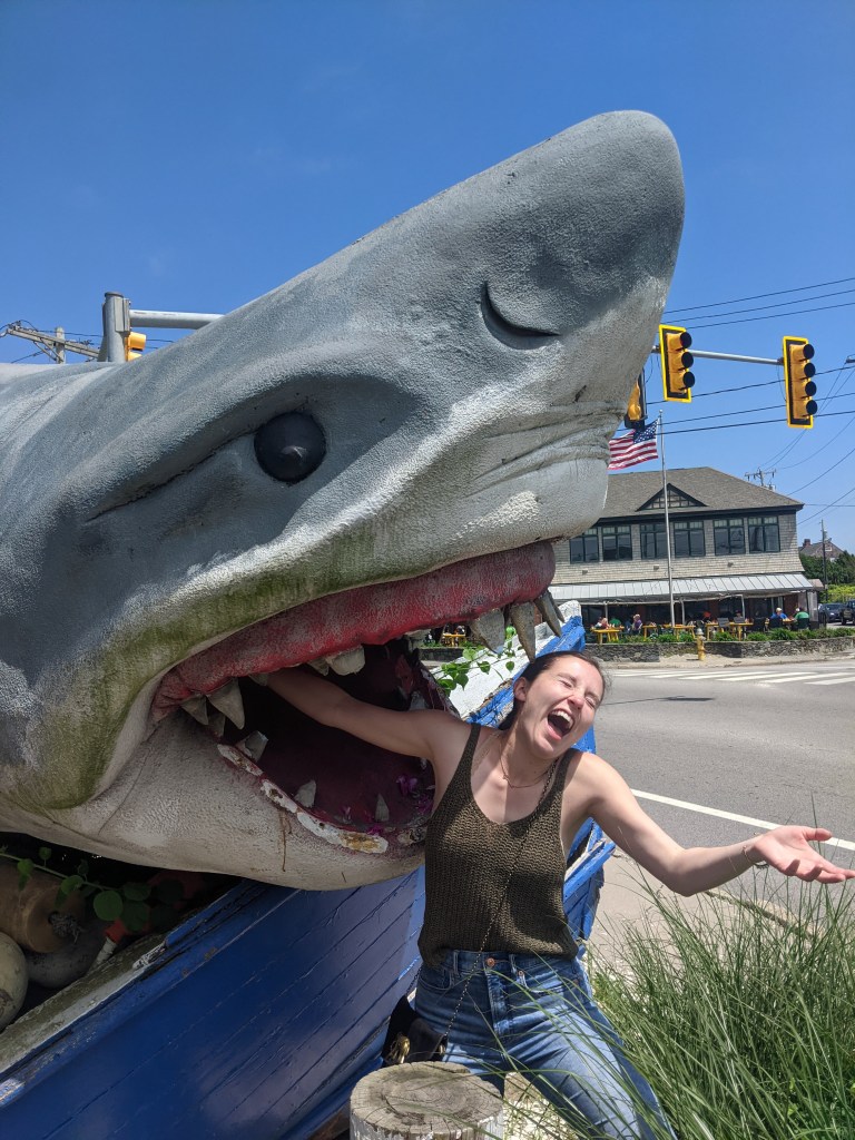 shark-attack-rhode-island-newport