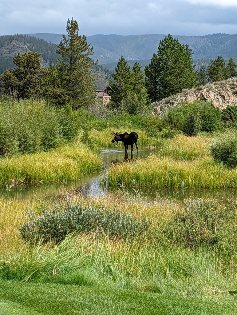 moose-breckenridge-golf-club-weekend-trip
