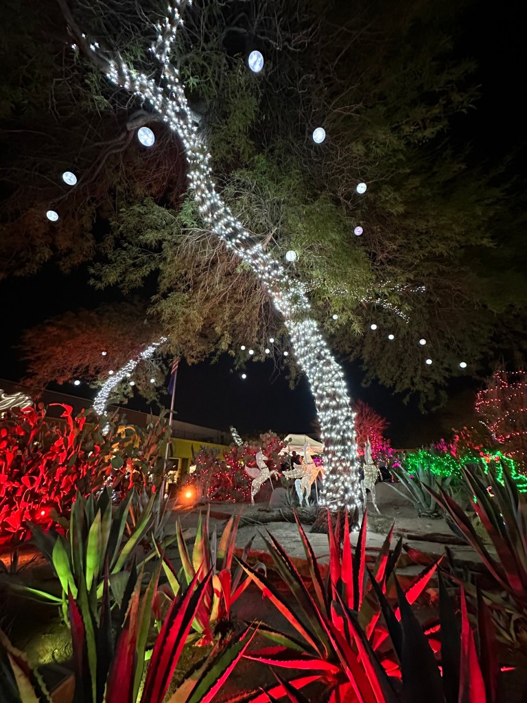 ethel-m-cactus-lights-las-vegas-nevada-christmas-lights