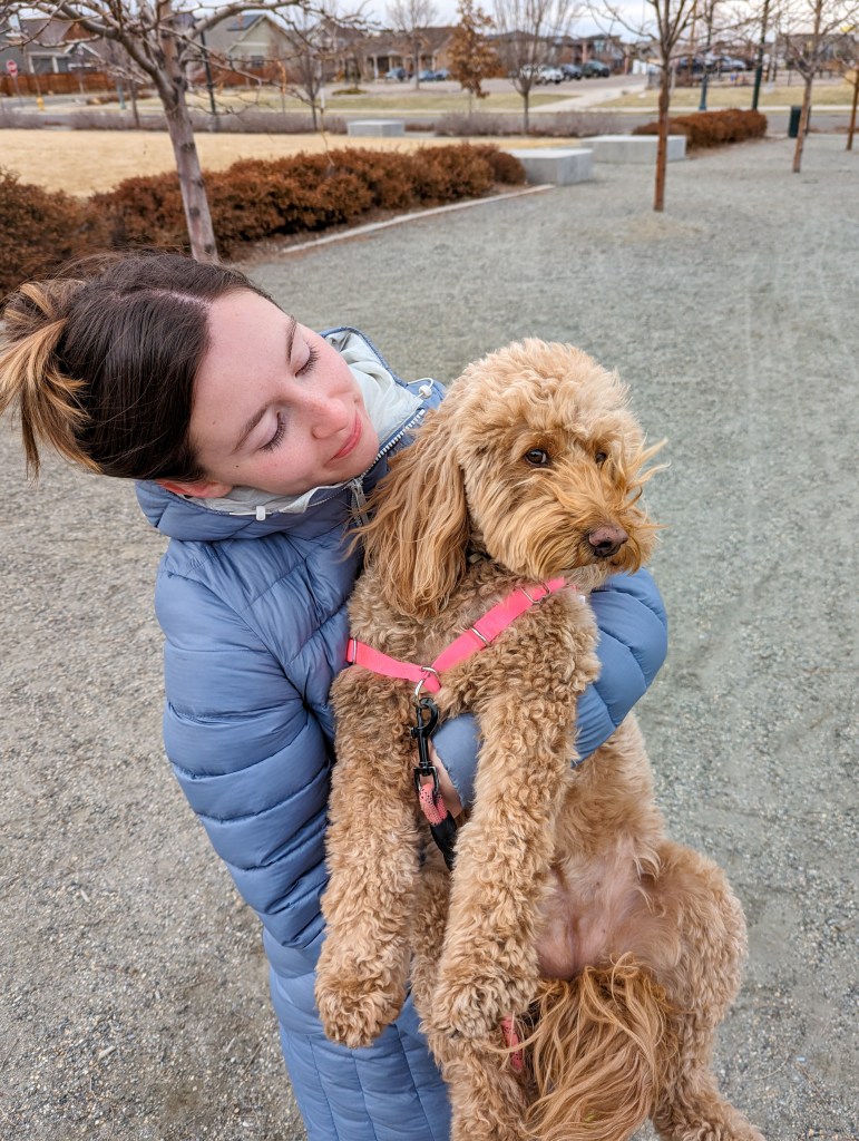 golden-doodle-dog-sitting-fashion-blog-post-grad-lifestyle