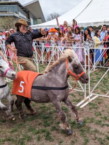 denver-mini-derby-horse-racing-colorado-blogger-horse-rescue