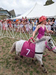 denver-mini-derby-horse-racing-mini-horses-fucshia-horse-rescue