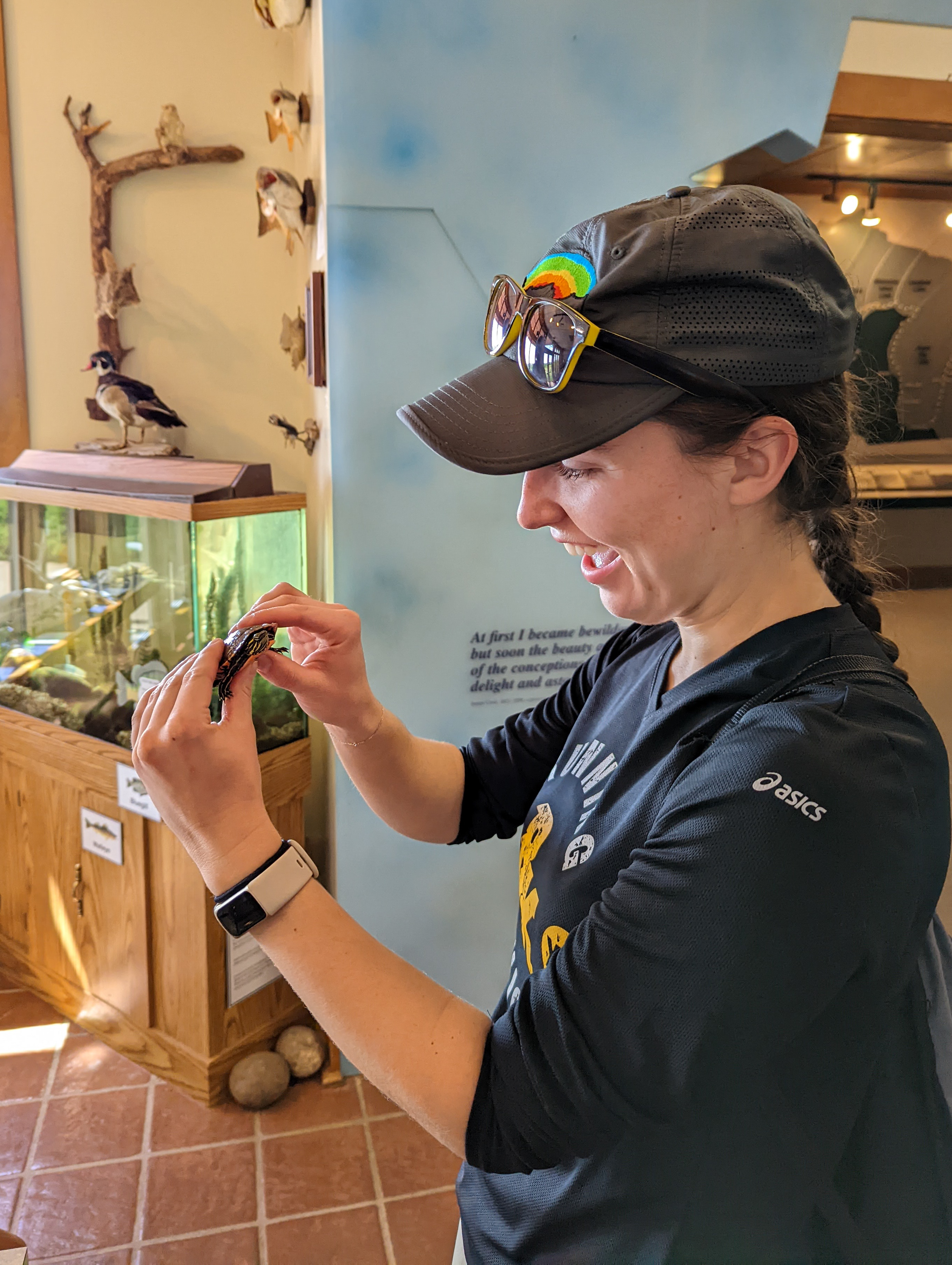 camping-ice-age-campsite-visitors-center-painted-turtle