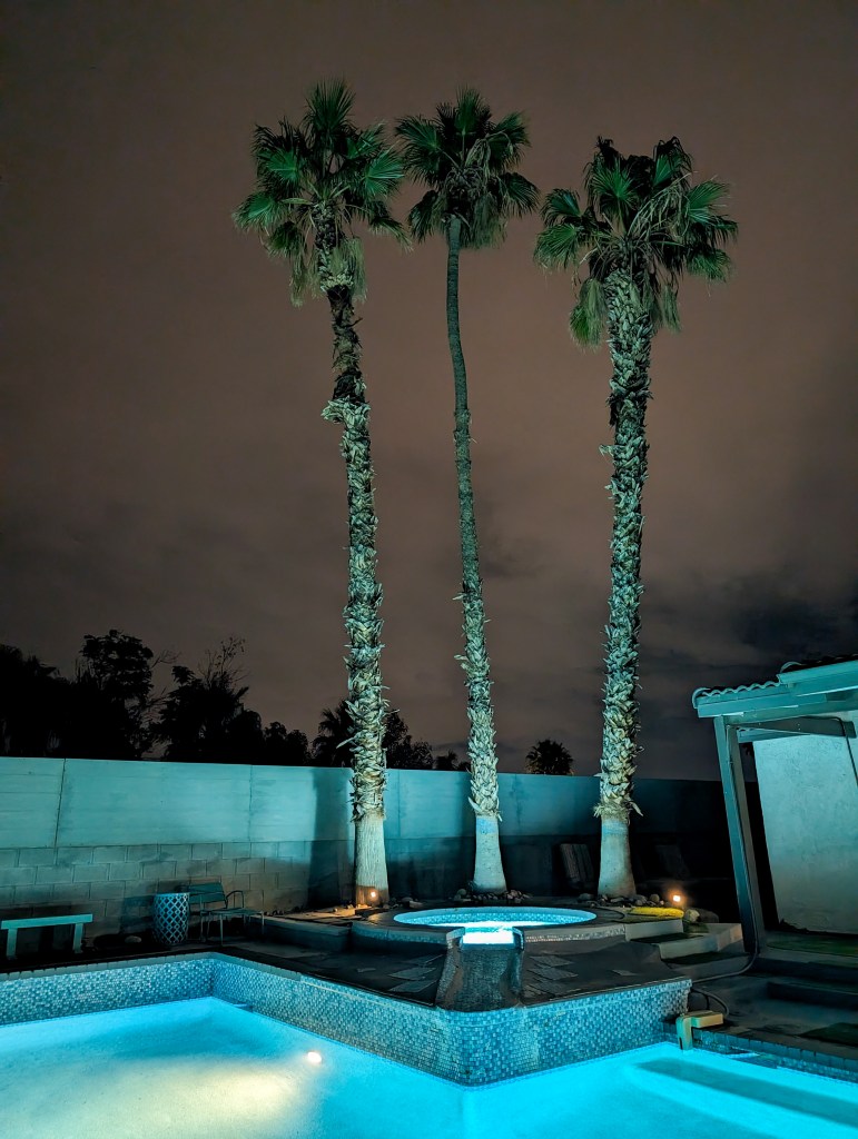 palm-springs-airbnb-ryson-vacations-palm-trees-california-vacation-rental