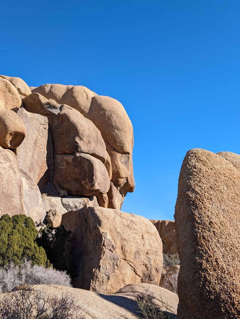 joshua-tree-national-park-face-rock-hiking-california-palm-springs