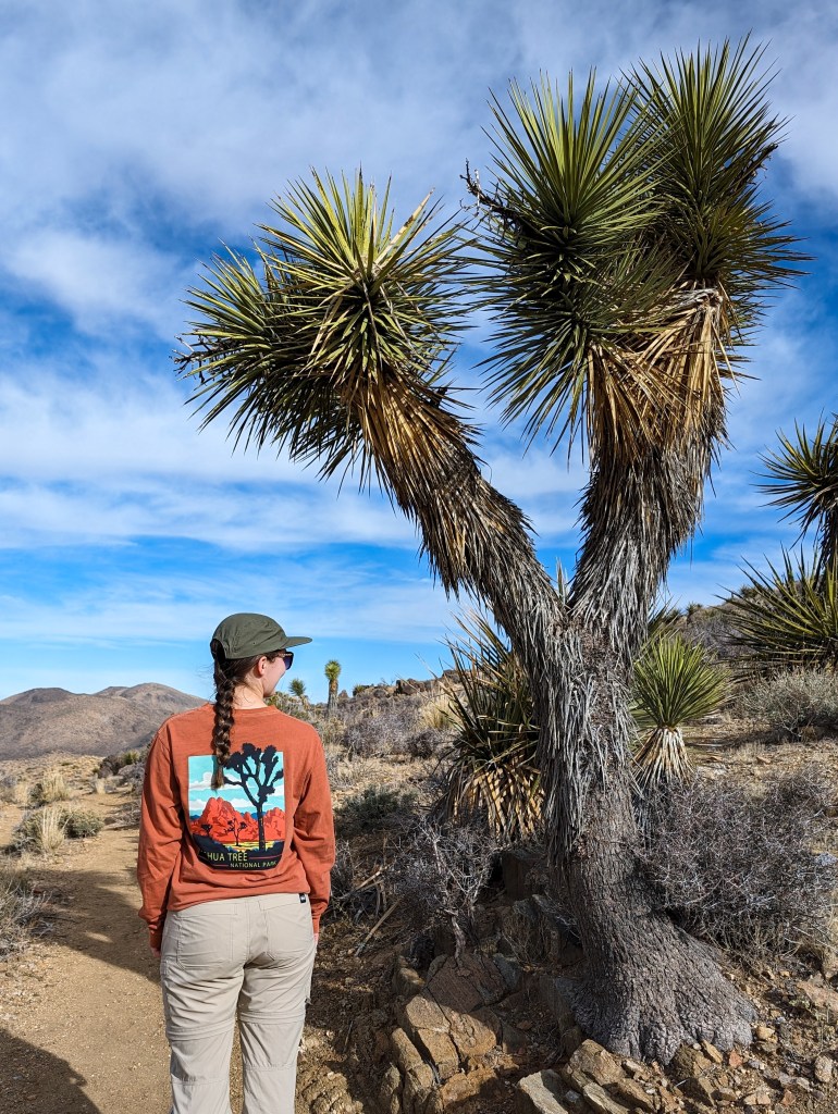 joshua-tree-national-park-california-palm-springs-hiking-braid