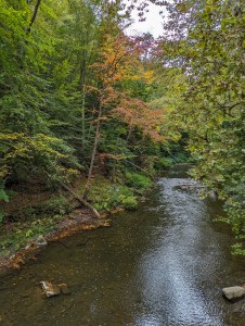 wilmington-and-western-railroad-leaf-peeping-train-ride-fall-foliage-philadelphia
